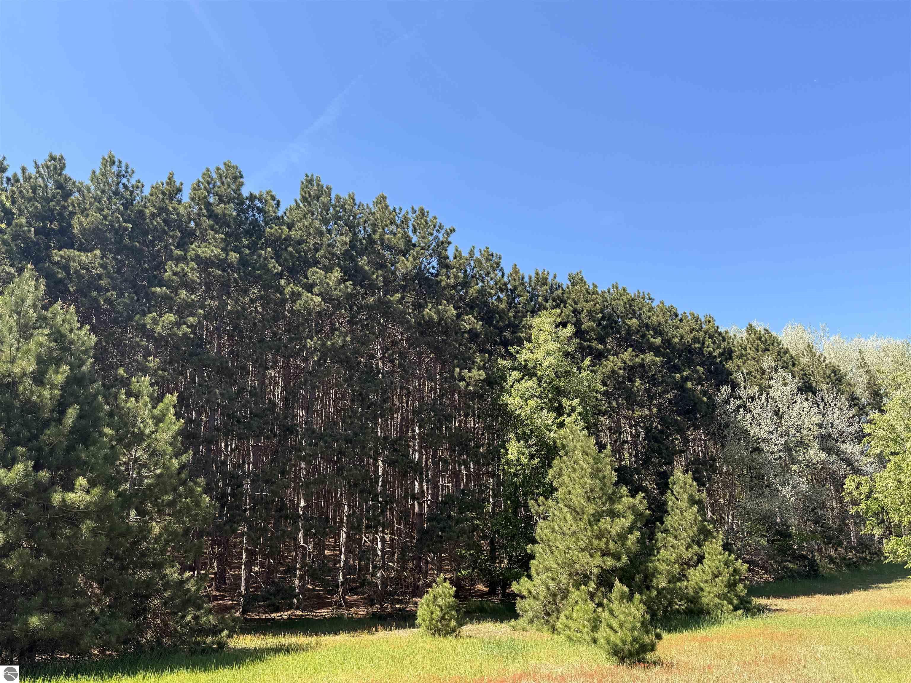 0 S Lime Lake Road