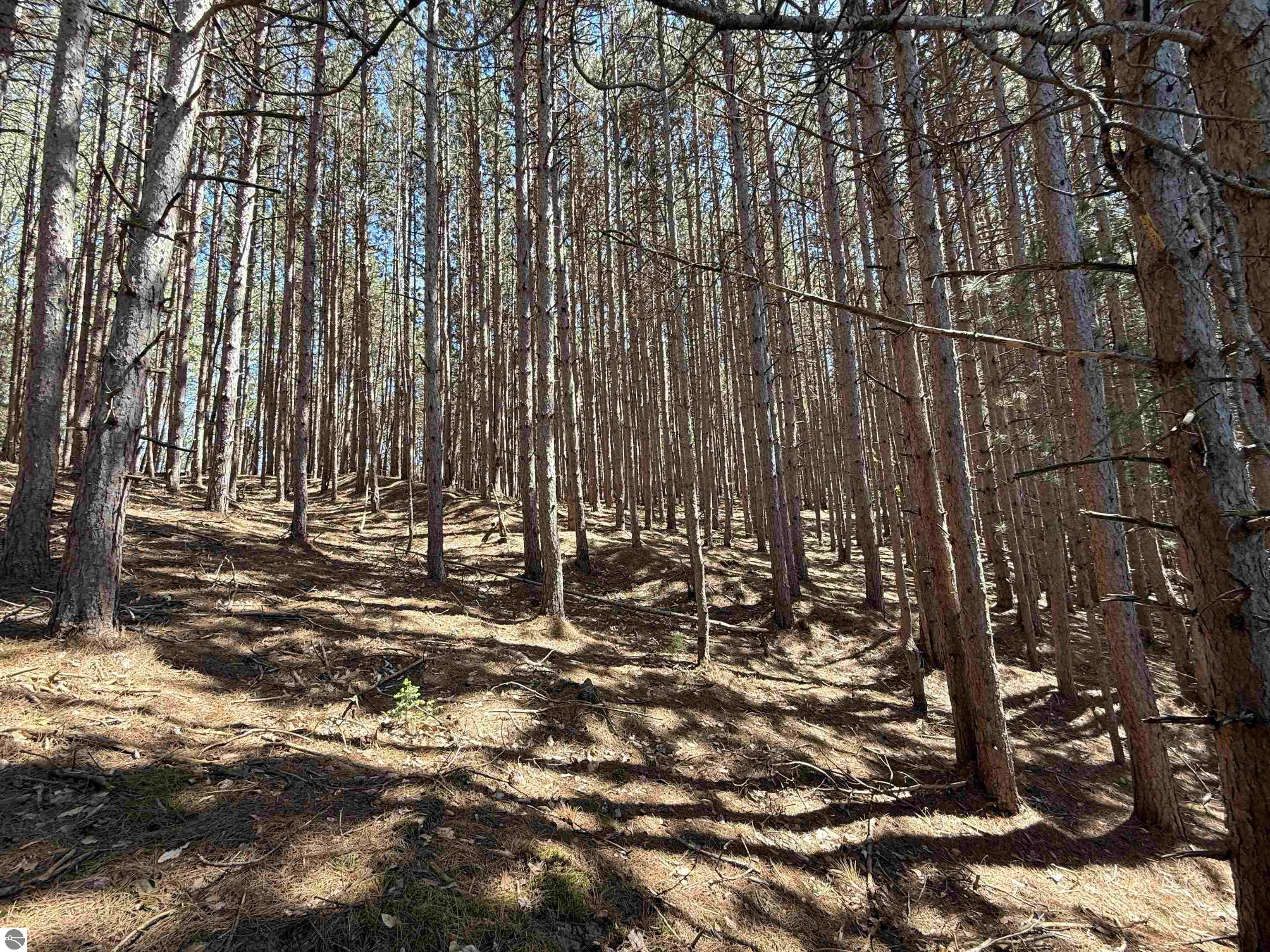 0 S Lime Lake Road