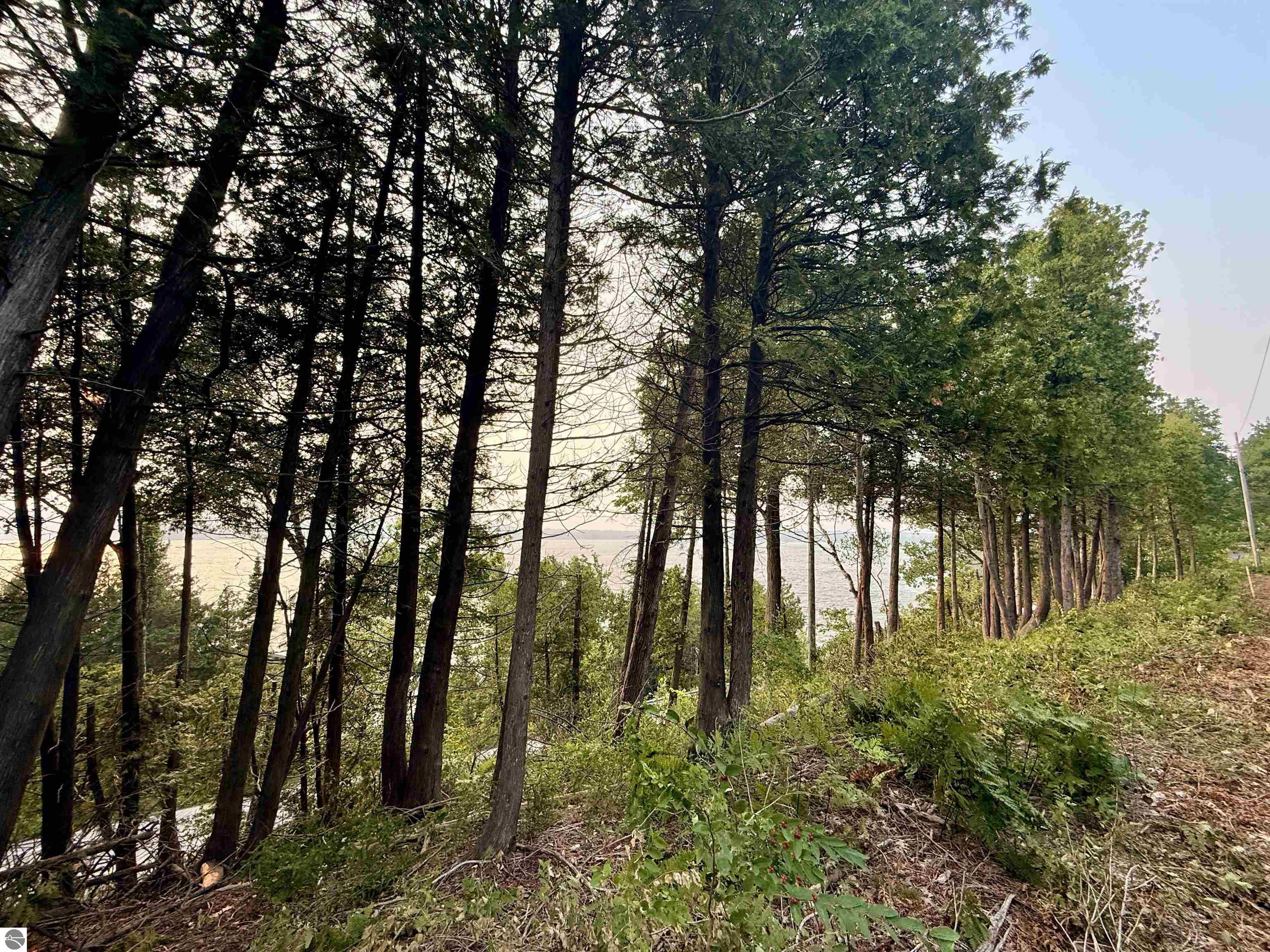 Lot 28 & 29 N Lake Leelanau Drive