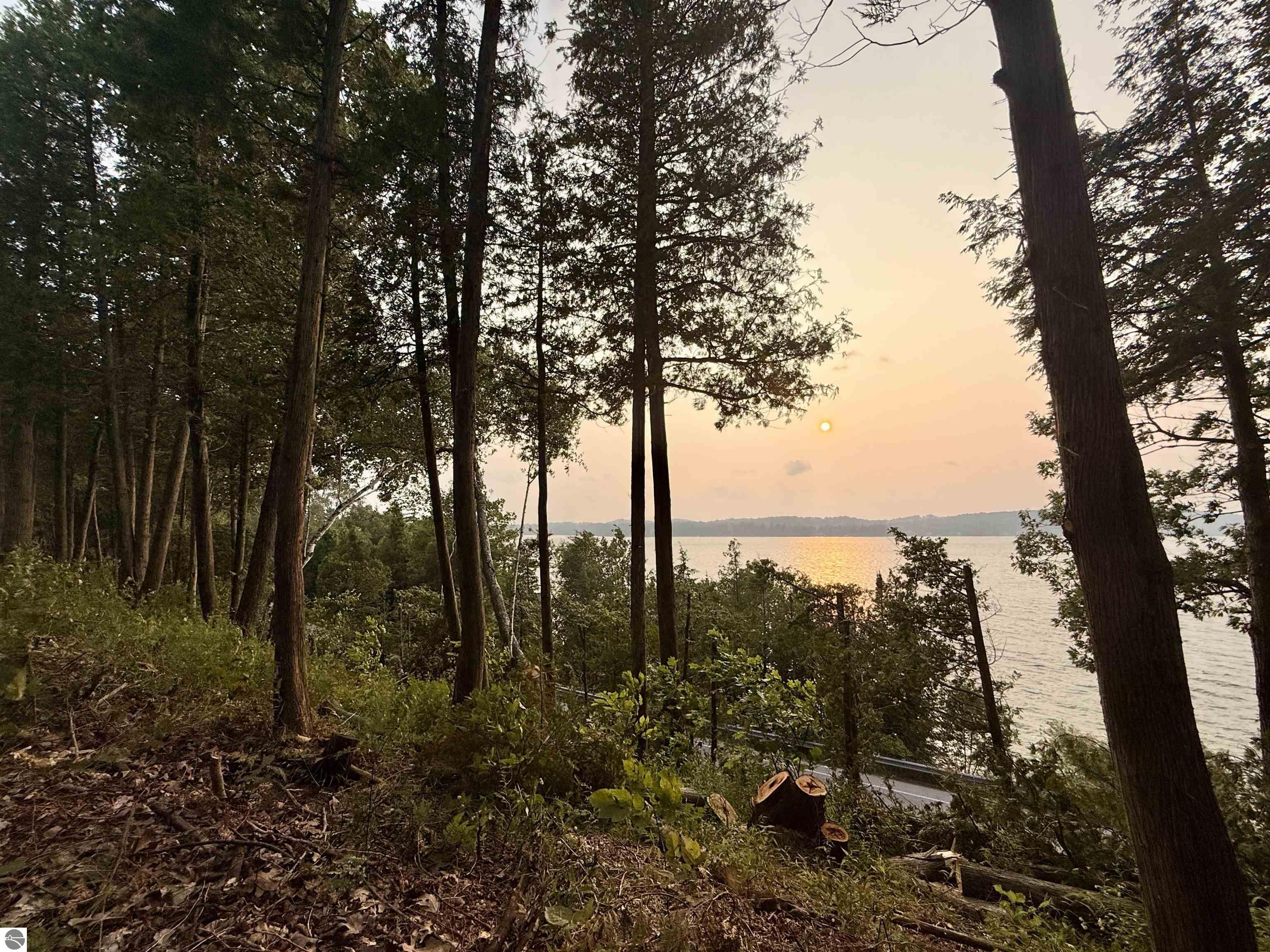Lot 28 & 29 N Lake Leelanau Drive