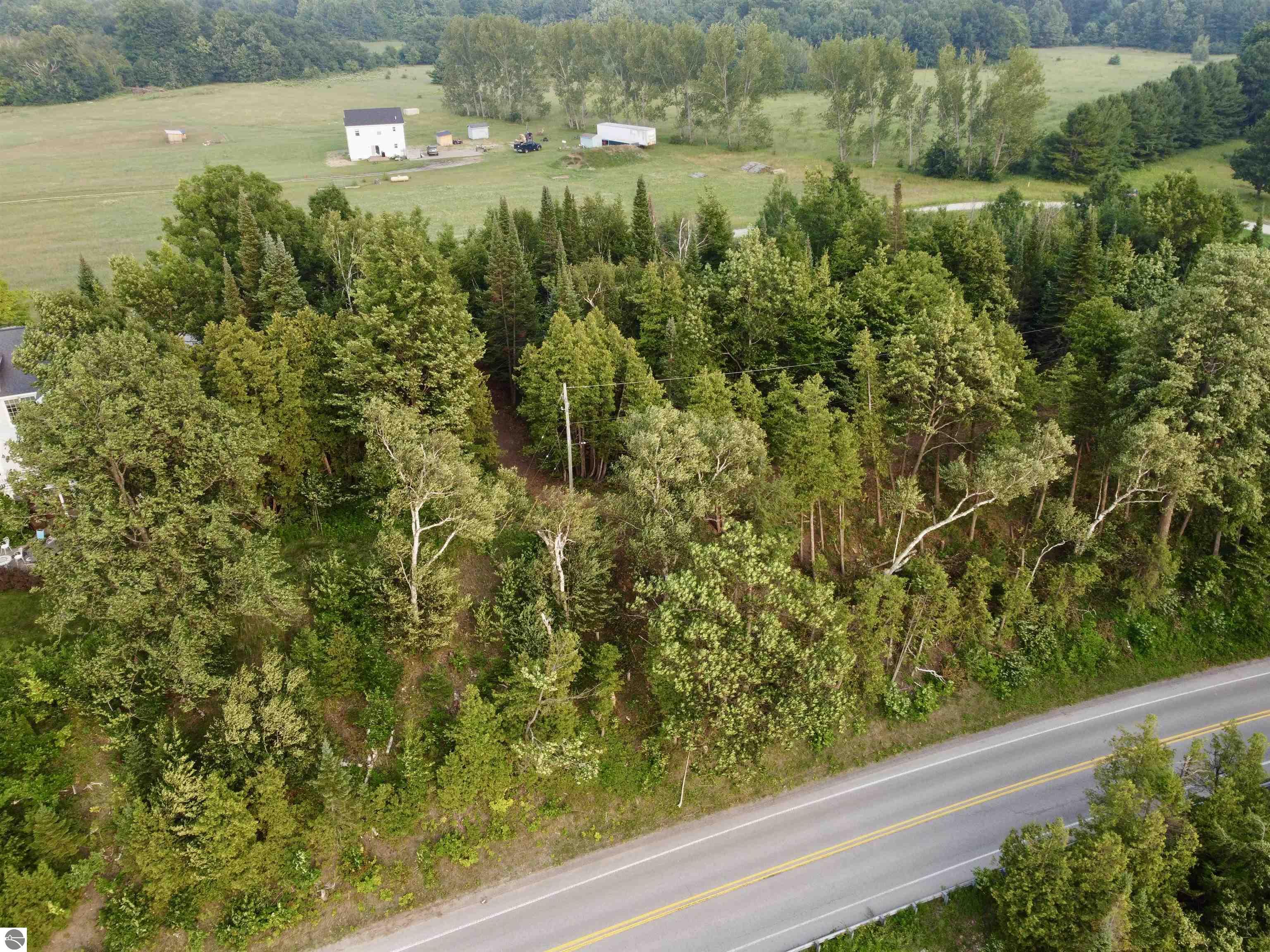 Lot 28 & 29 N Lake Leelanau Drive