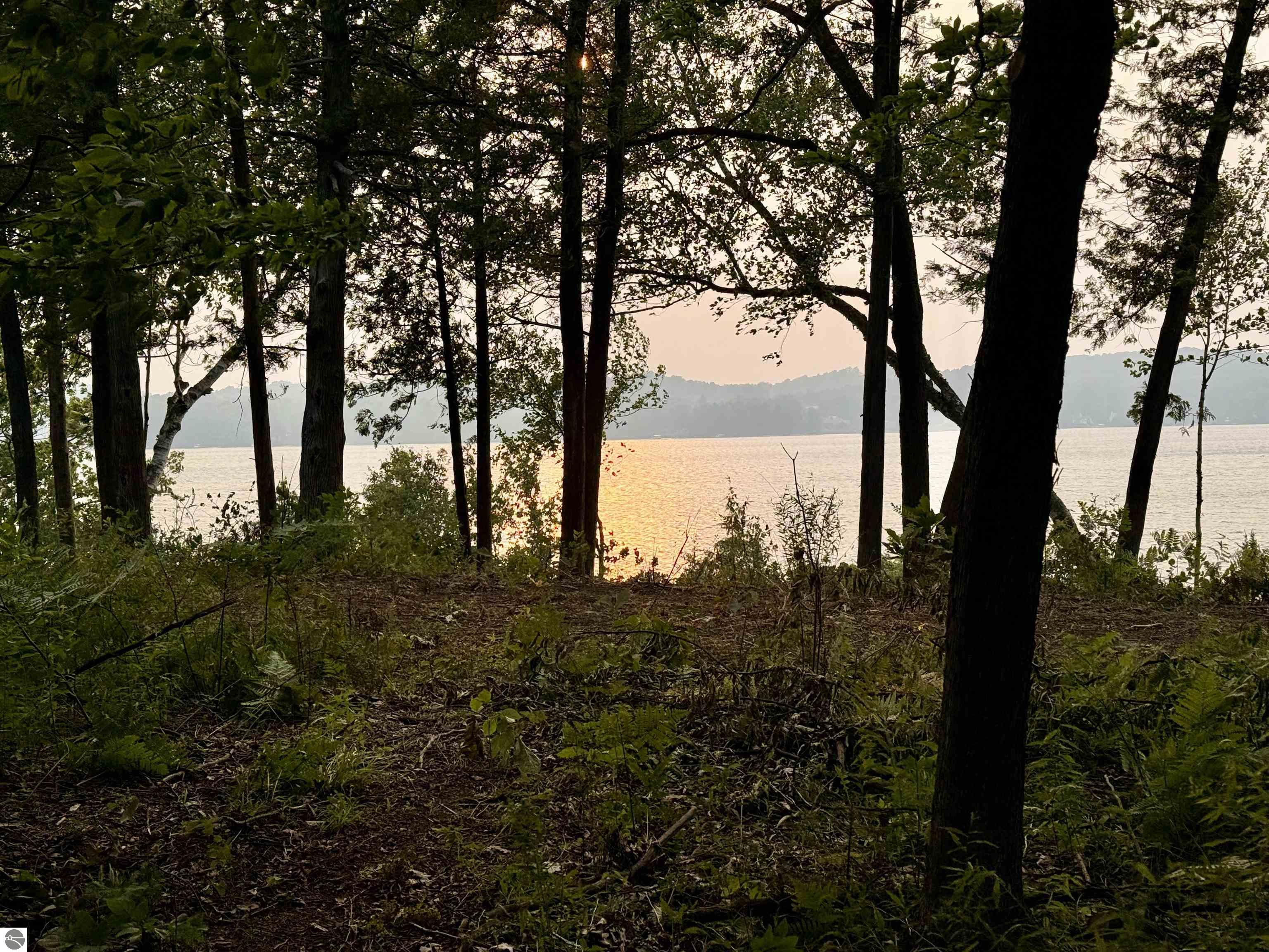 Lot 28 & 29 N Lake Leelanau Drive