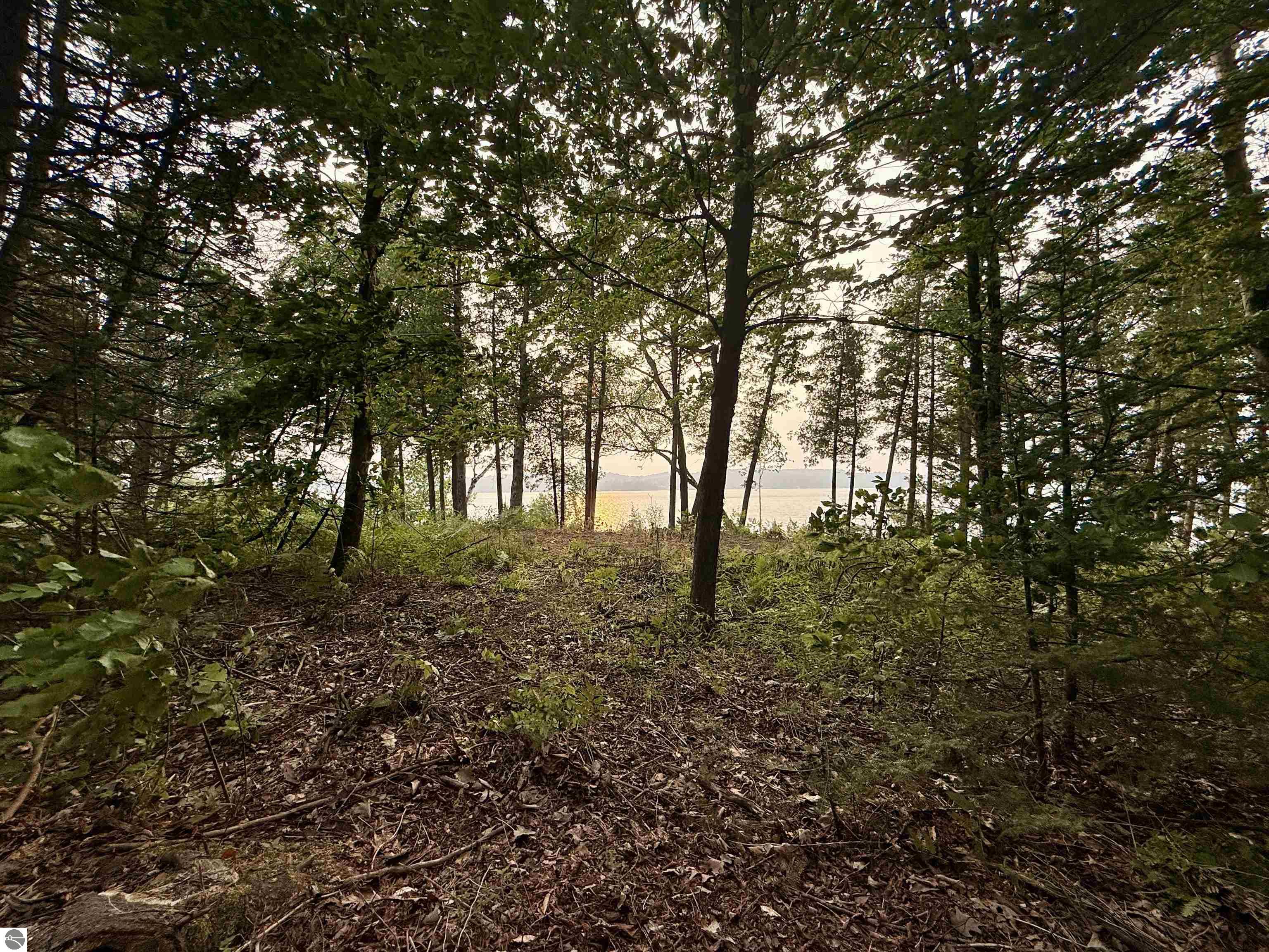 Lot 28 & 29 N Lake Leelanau Drive