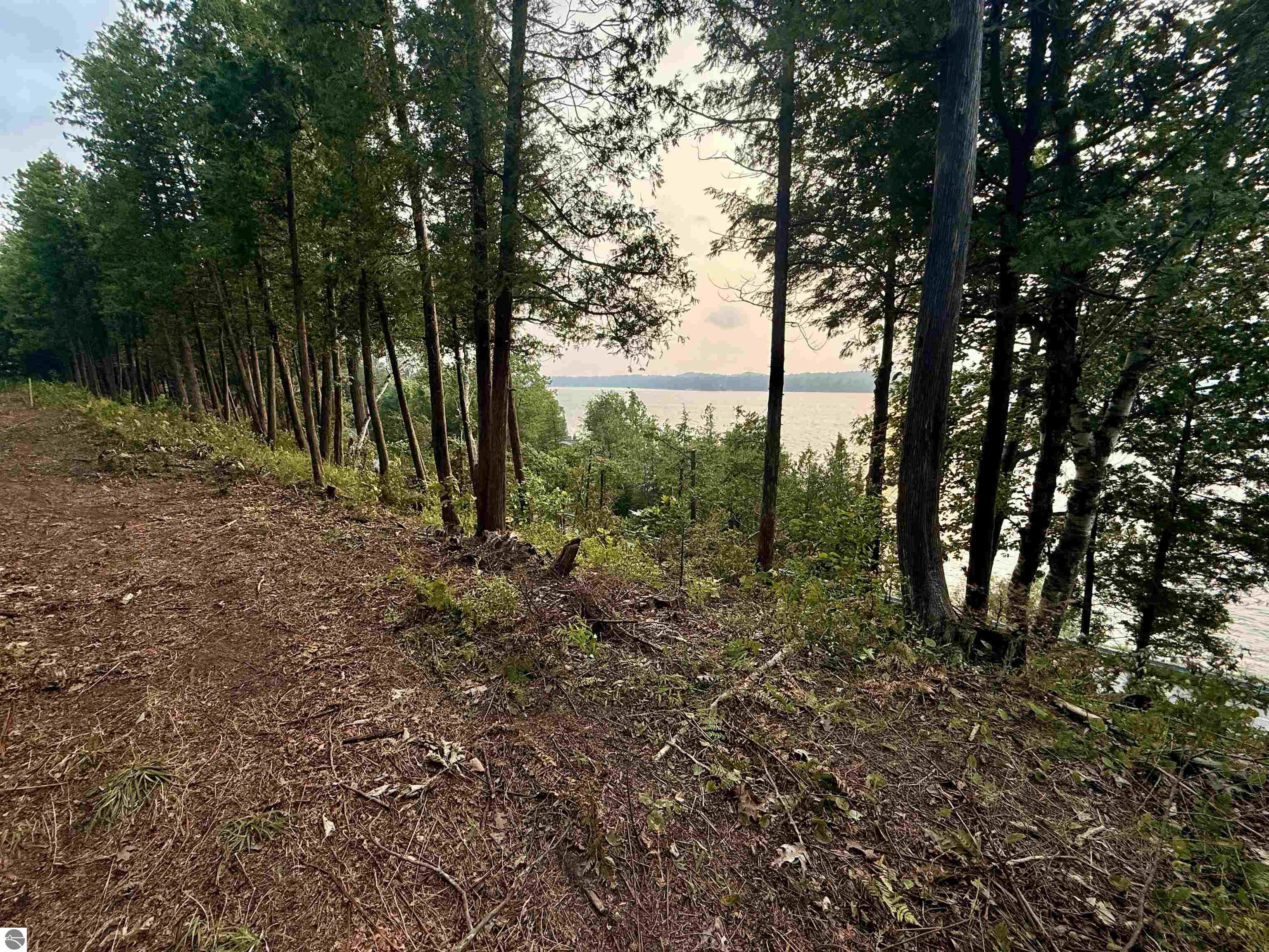 Lot 28 & 29 N Lake Leelanau Drive