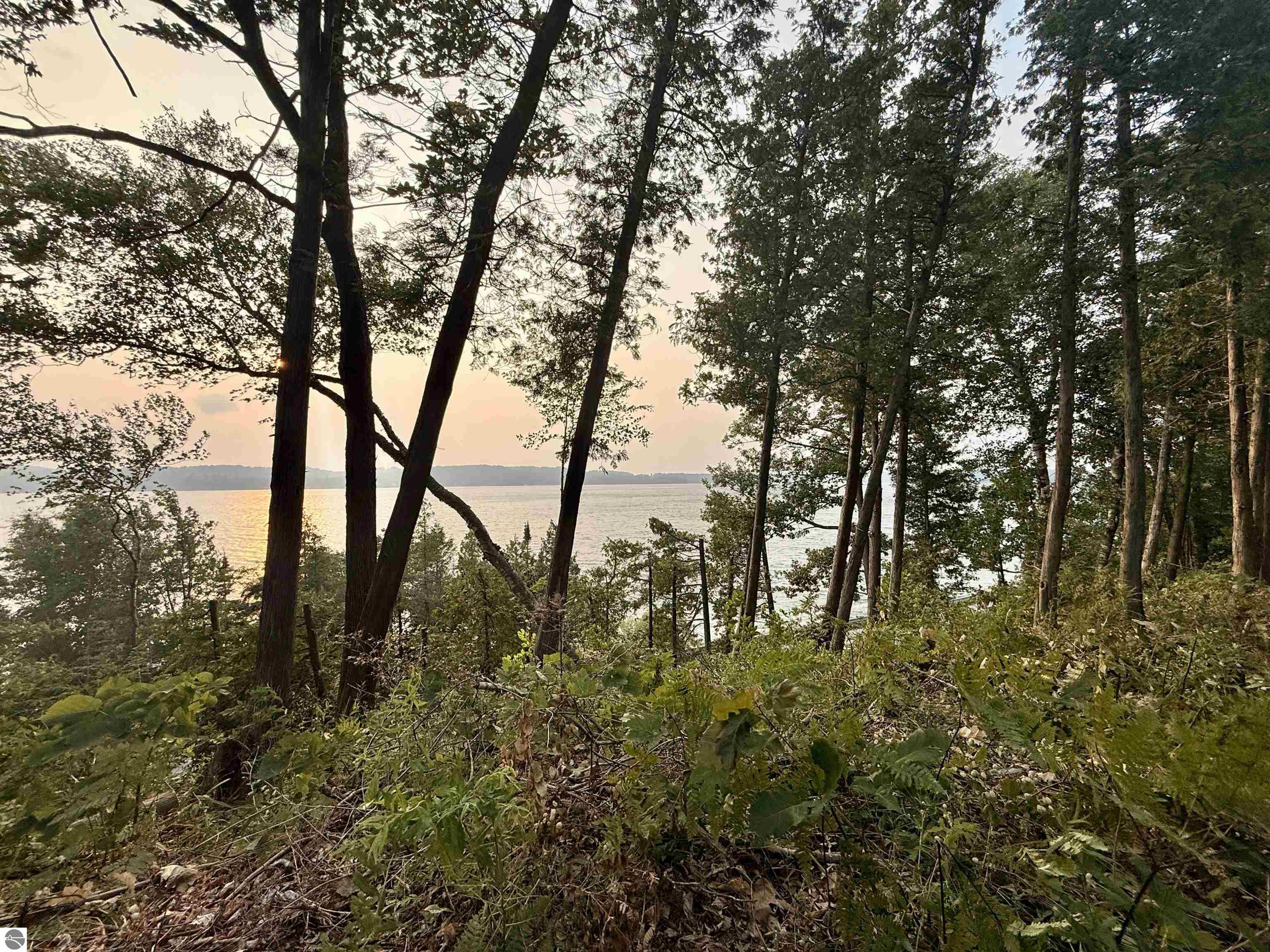 Lot 30 & 31 N Lake Leelanau Drive