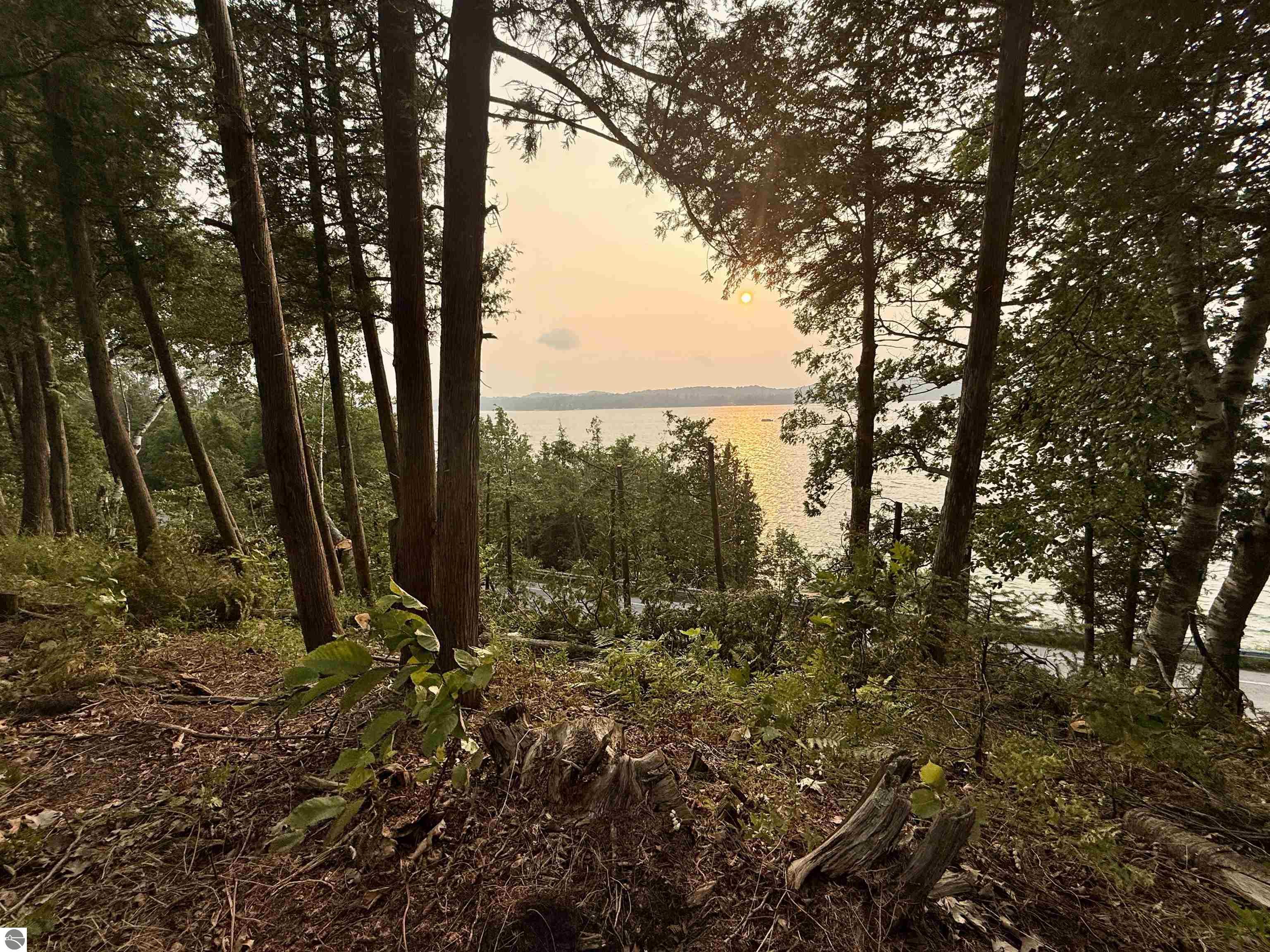 Lot 30 & 31 N Lake Leelanau Drive
