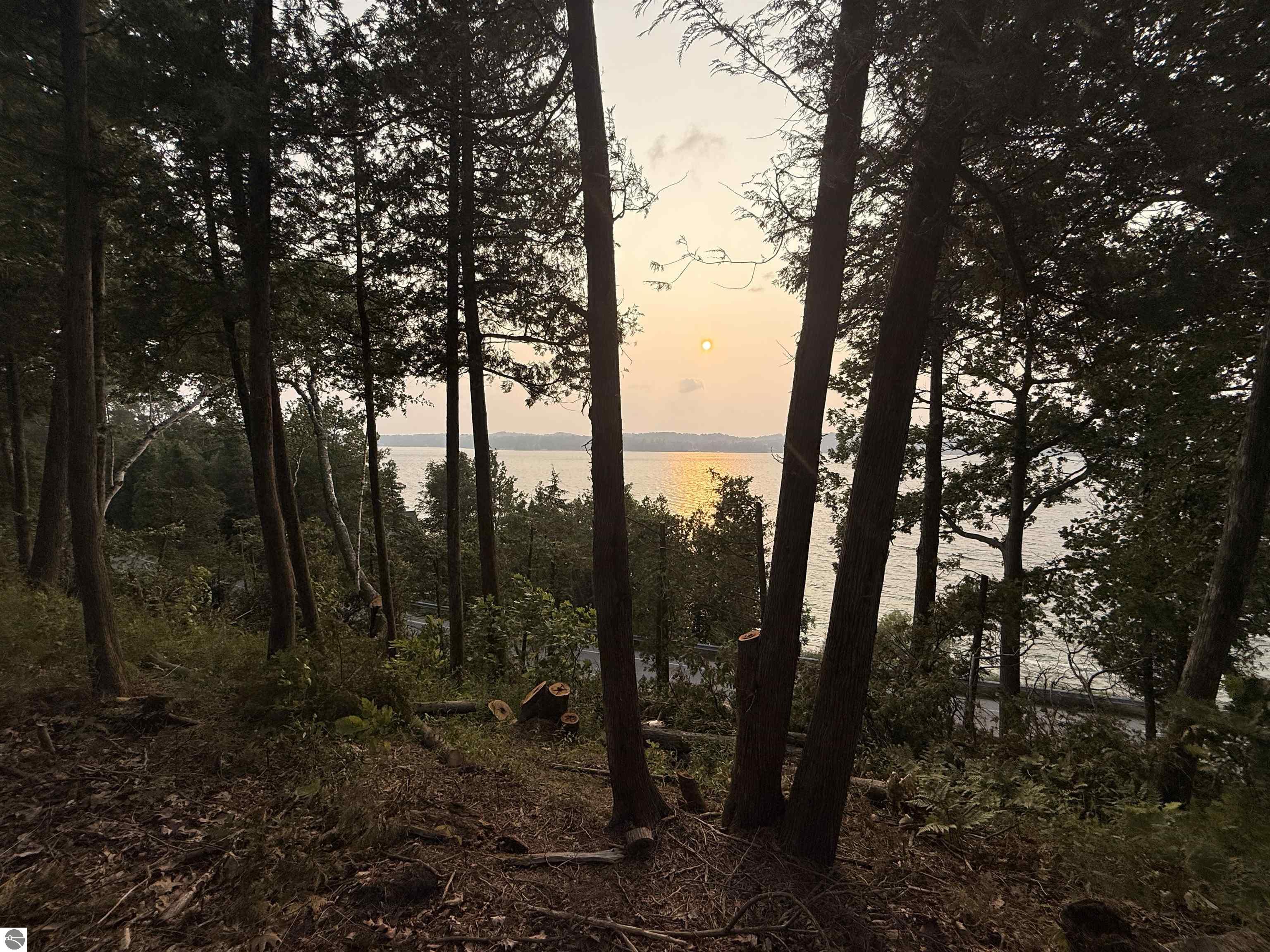 Lot 30 & 31 N Lake Leelanau Drive