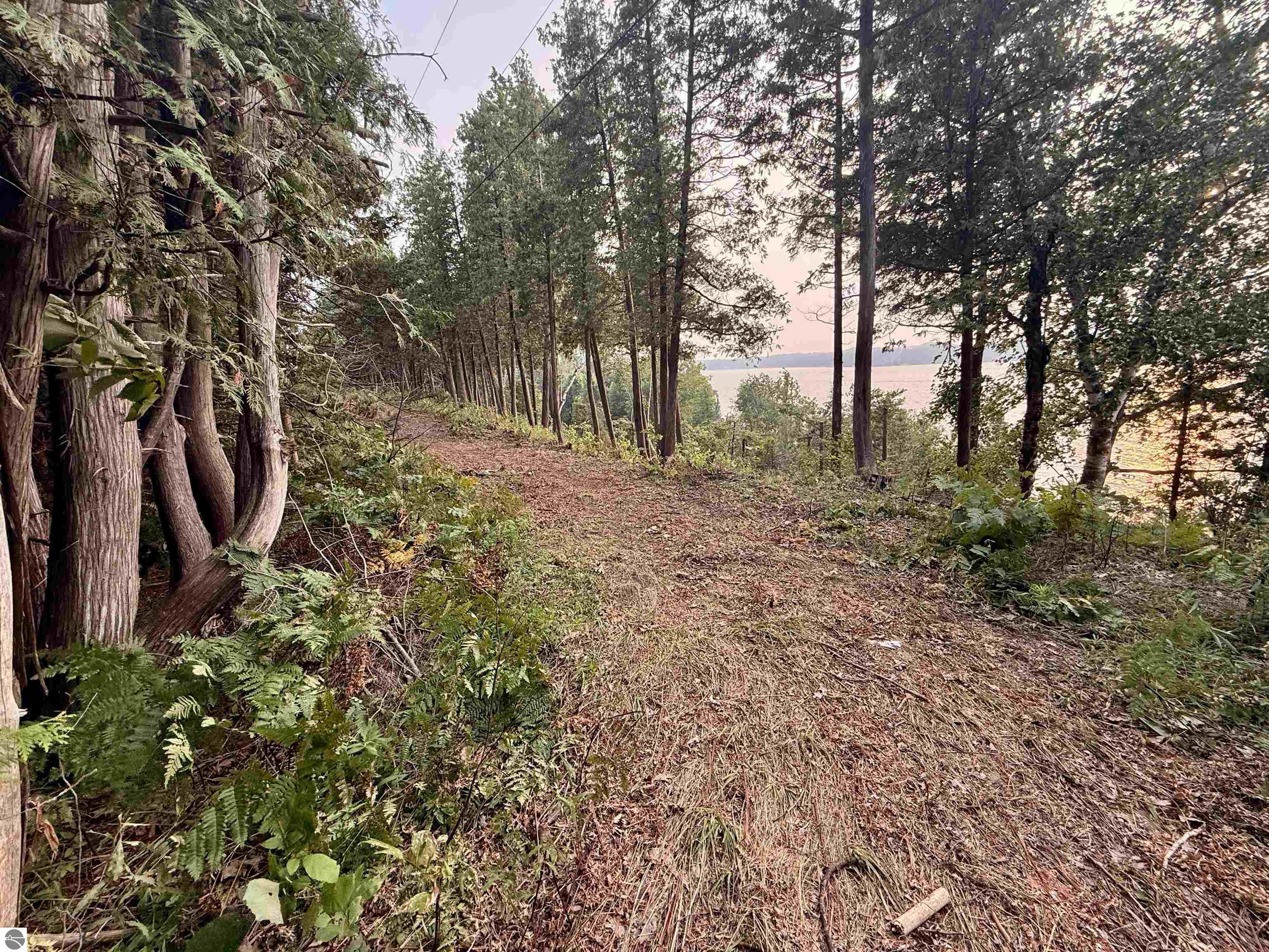 Lot 30 & 31 N Lake Leelanau Drive