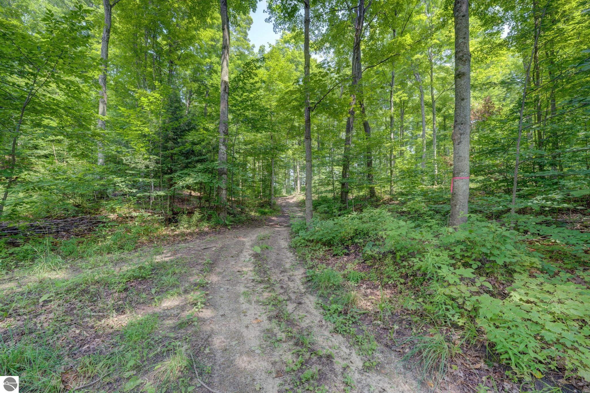 244 W Kasson Center Road