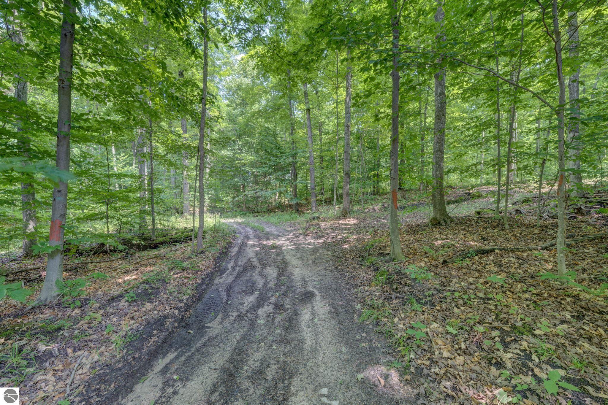 244 W Kasson Center Road
