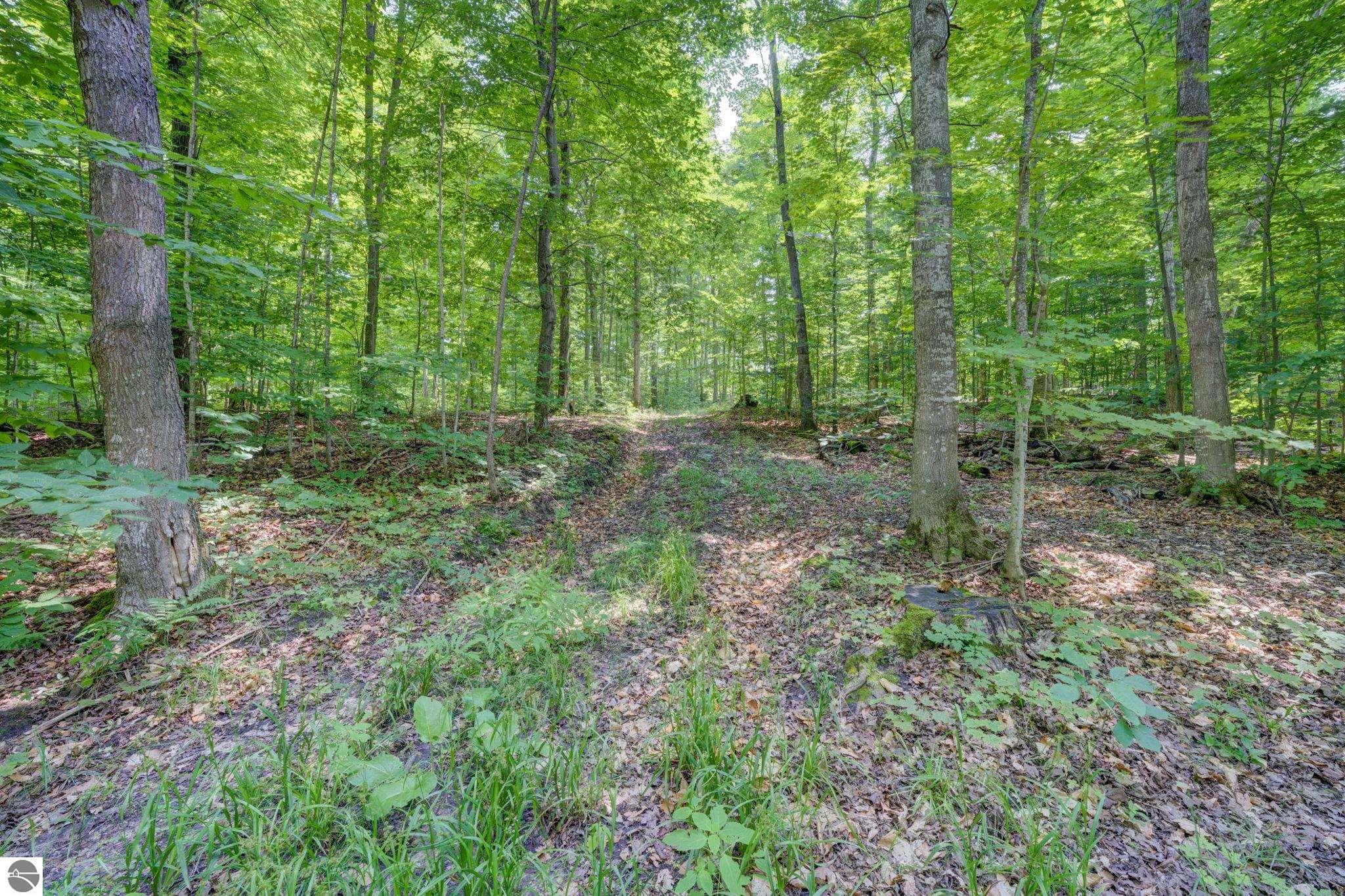 244 W Kasson Center Road