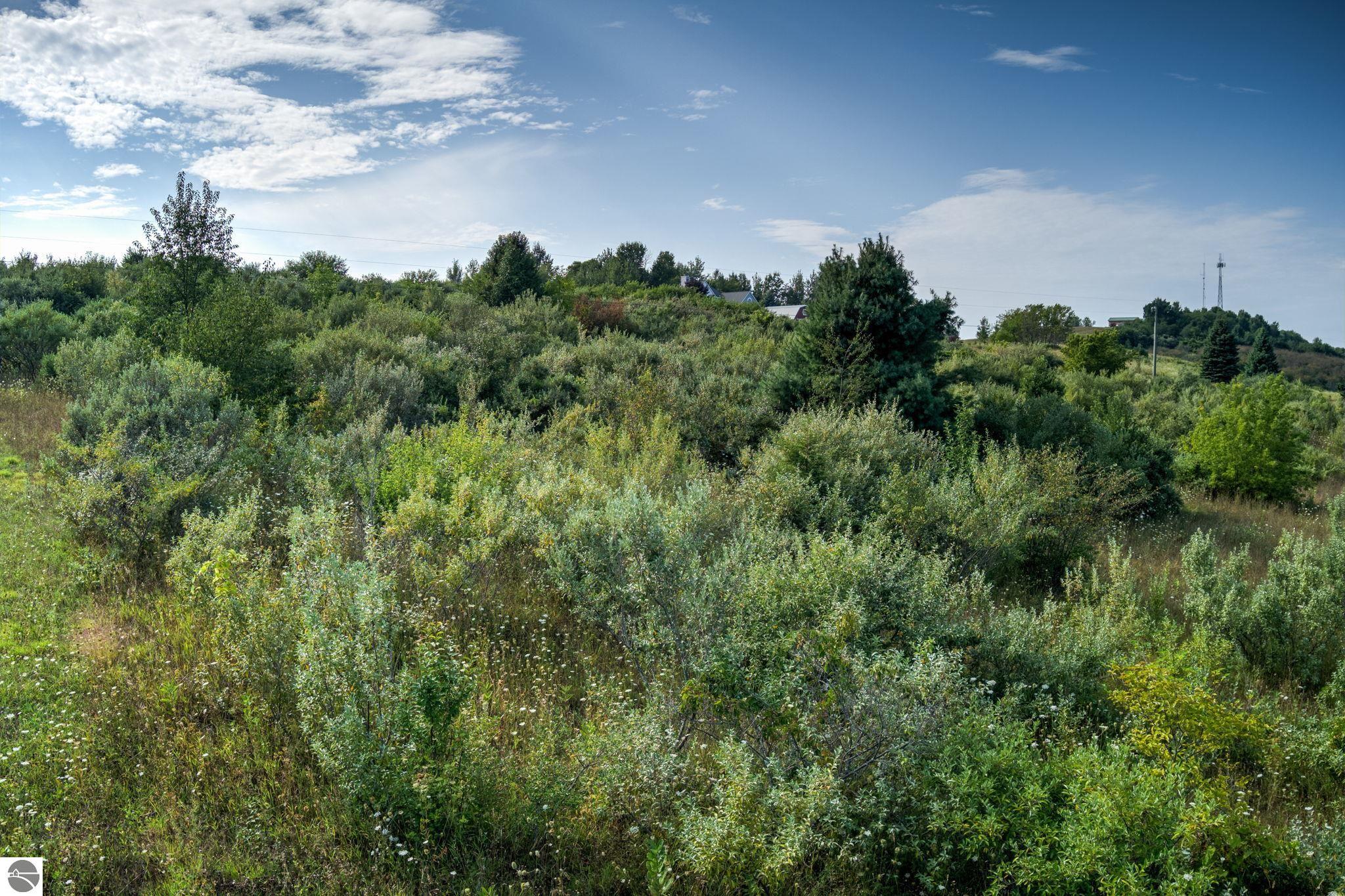 S Overlook Road