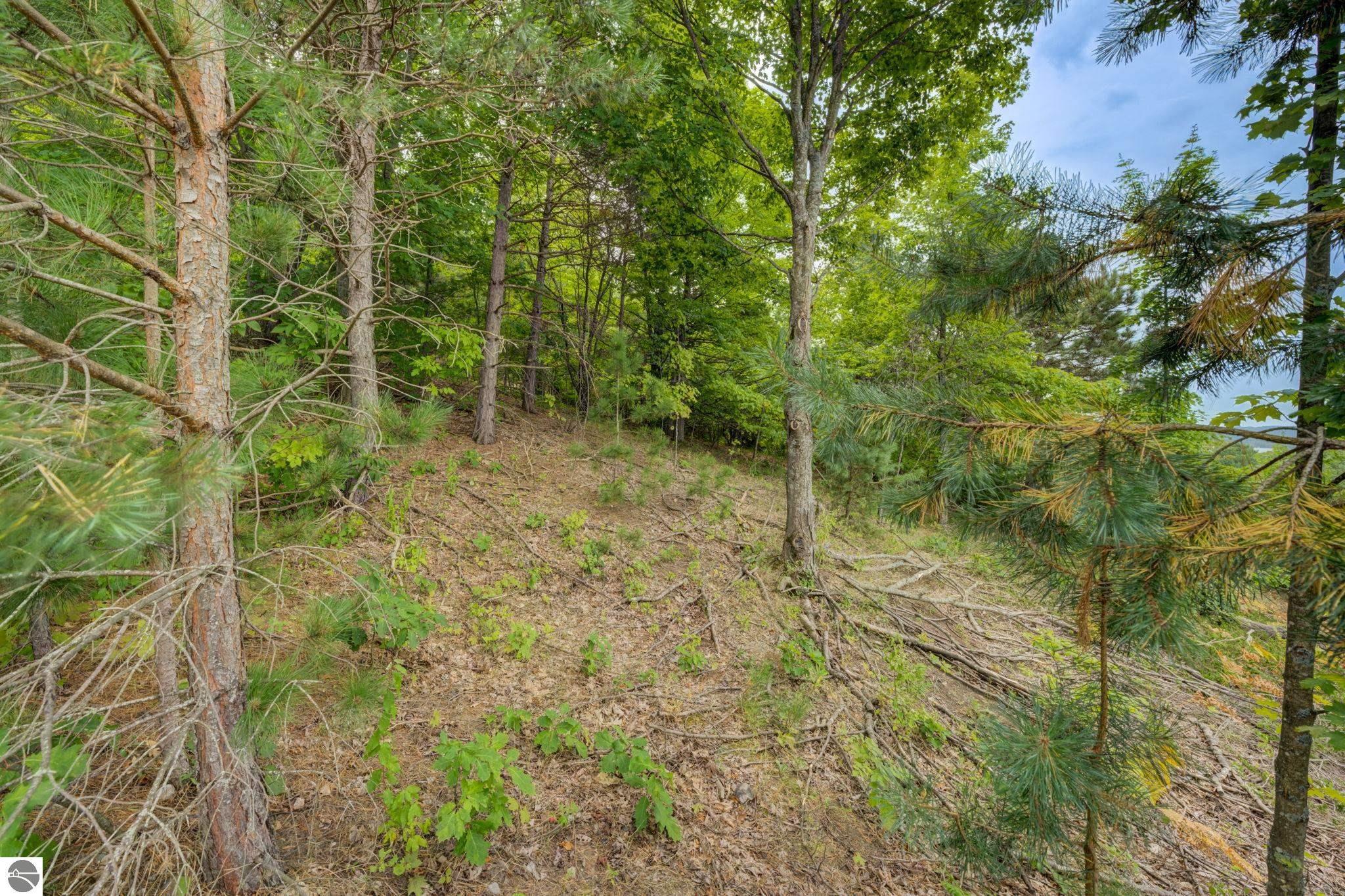 2503 S Lake Leelanau Drive