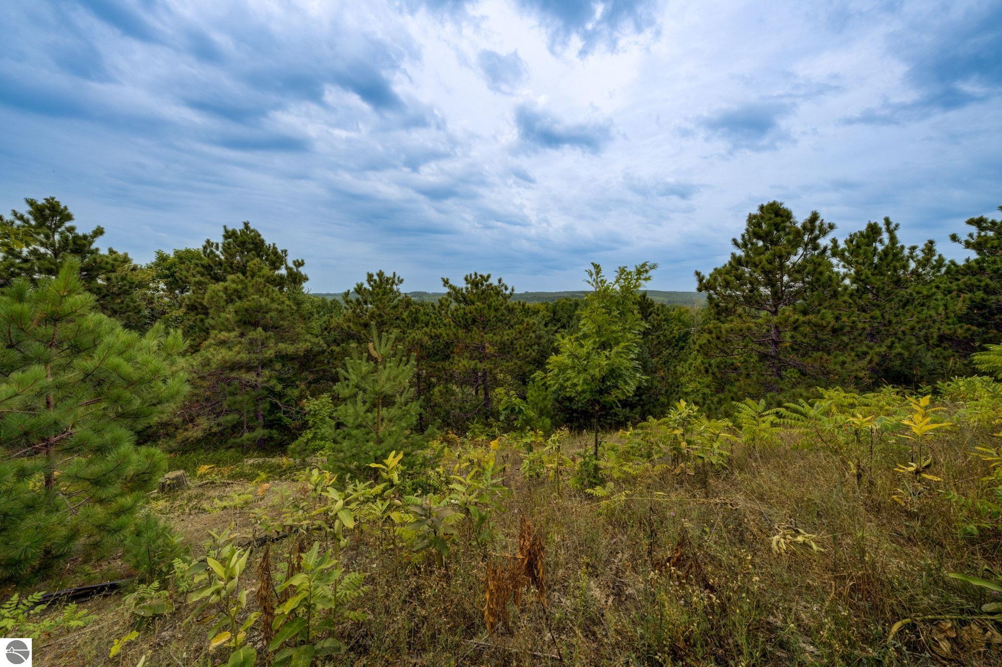 2503 S Lake Leelanau Drive