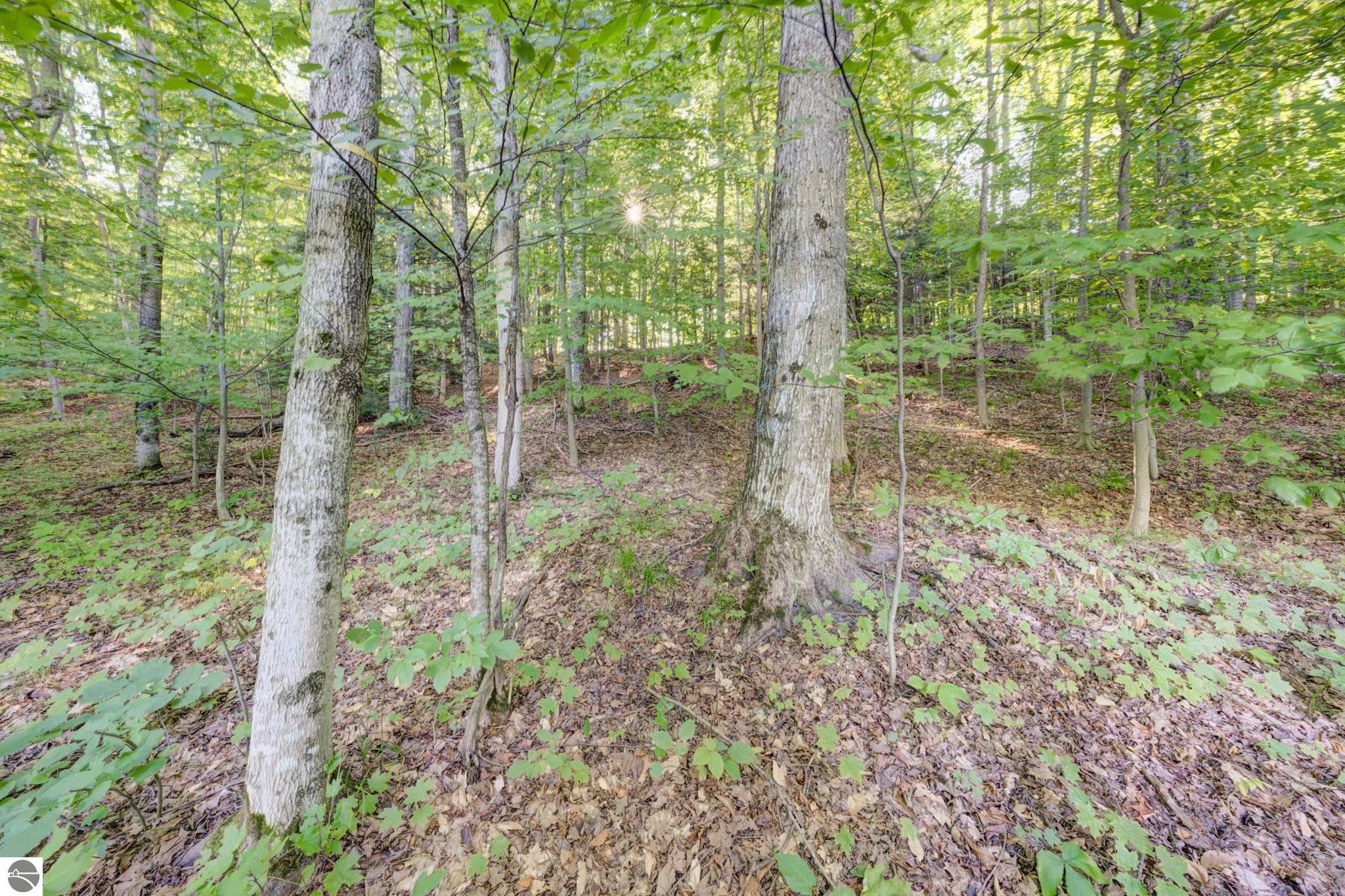 359 W Valley Road