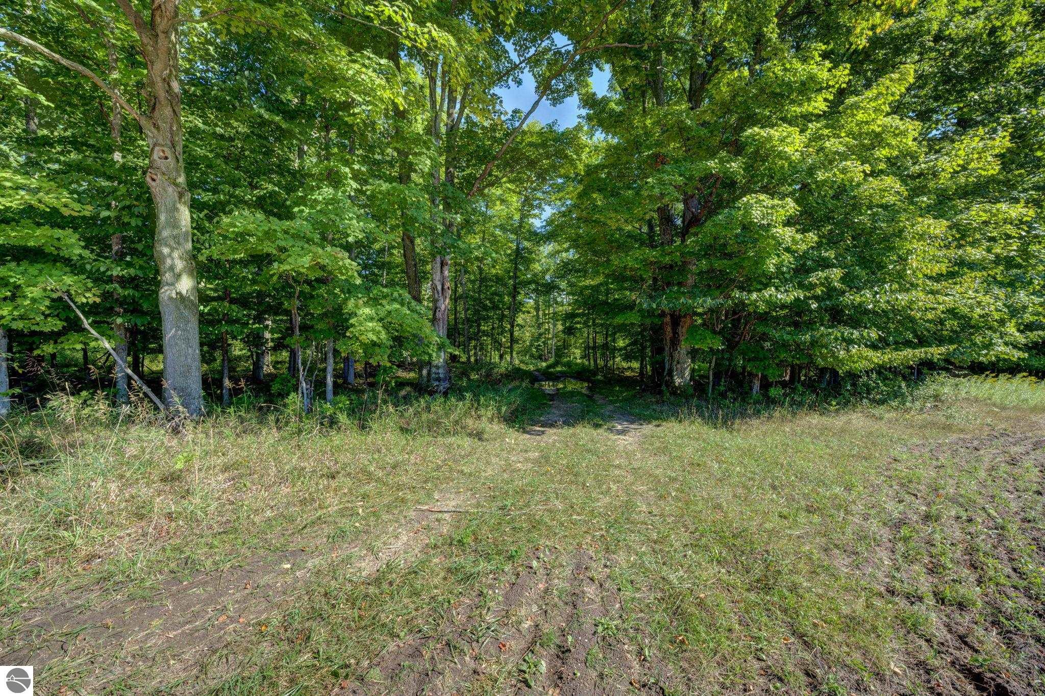 3483 Kiessel Road
