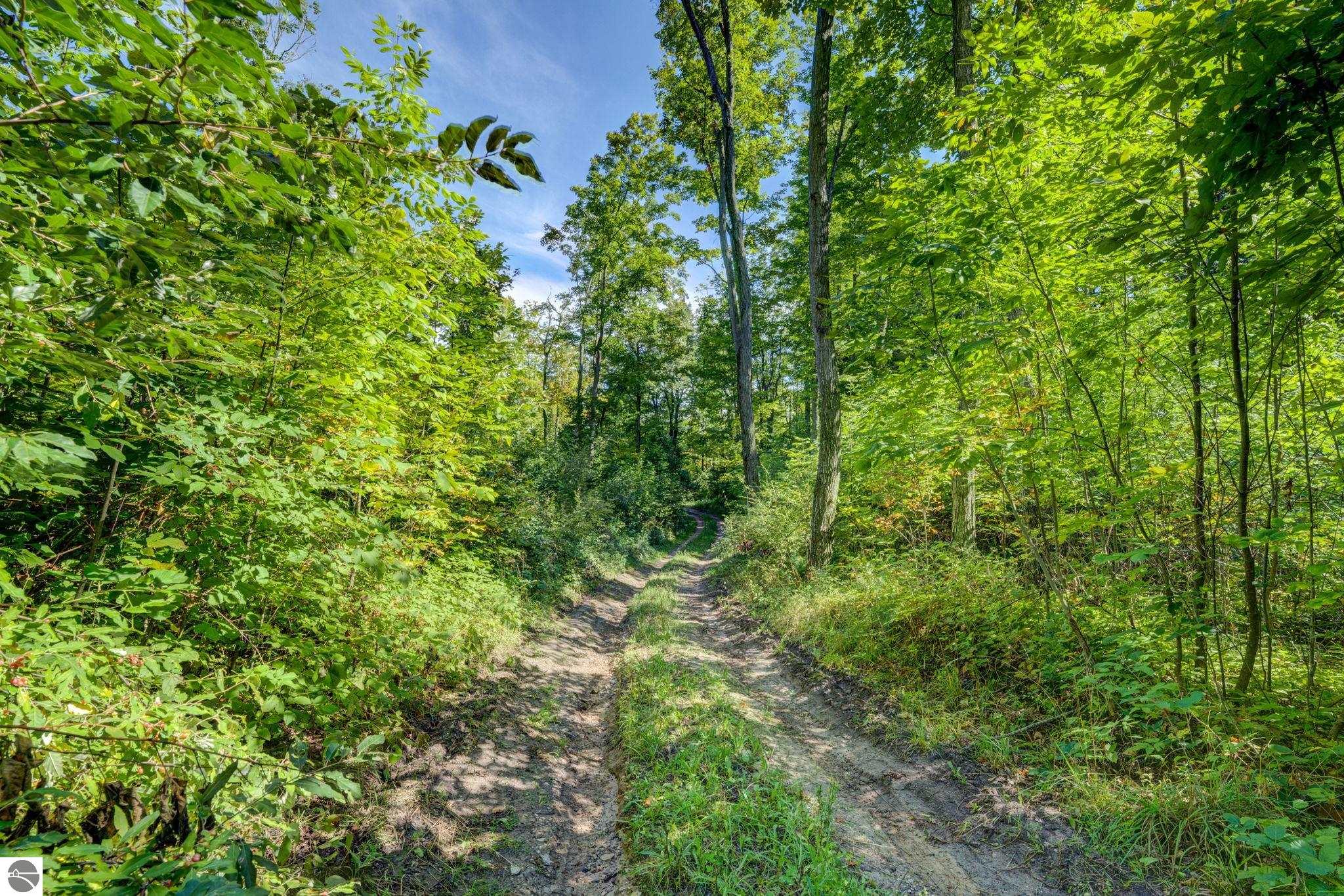 3483 Kiessel Road