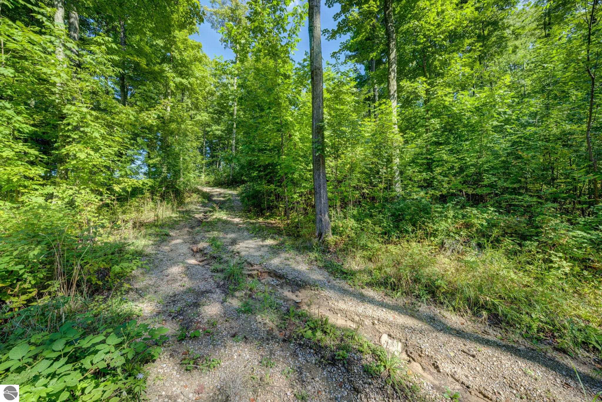 3483 Kiessel Road
