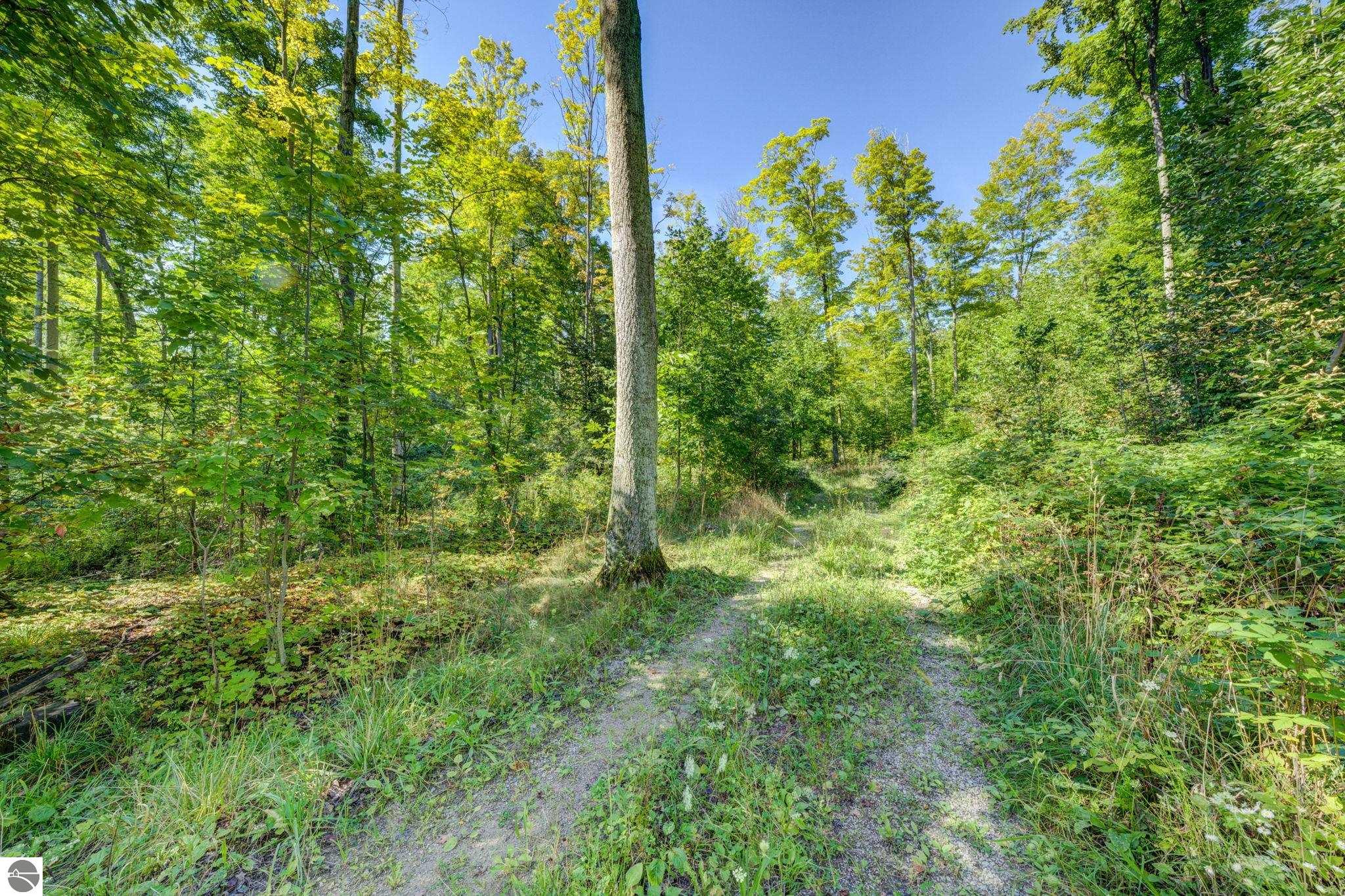 3483 Kiessel Road