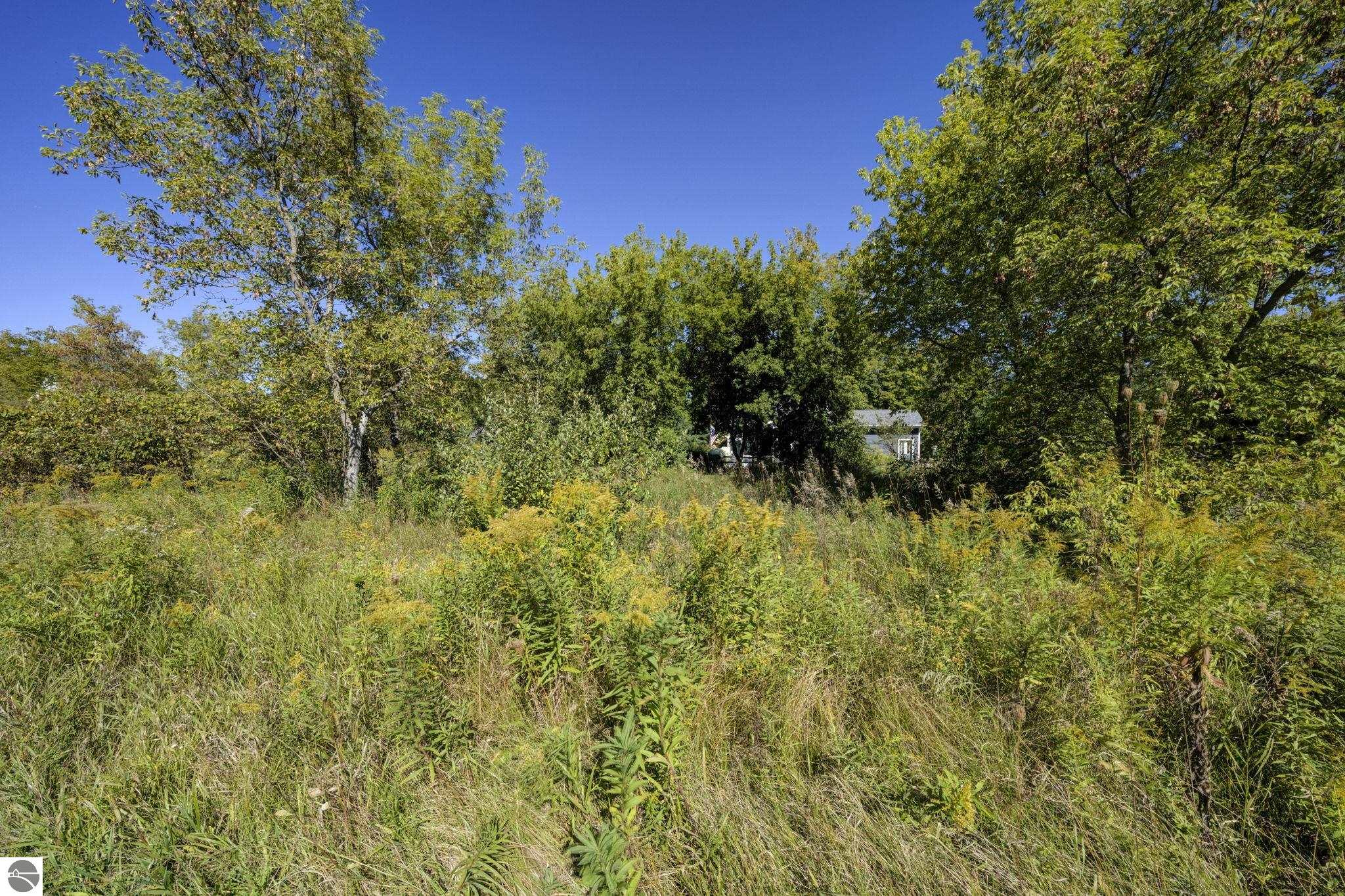 10624 + Lot 11 E Ora Lee Lane