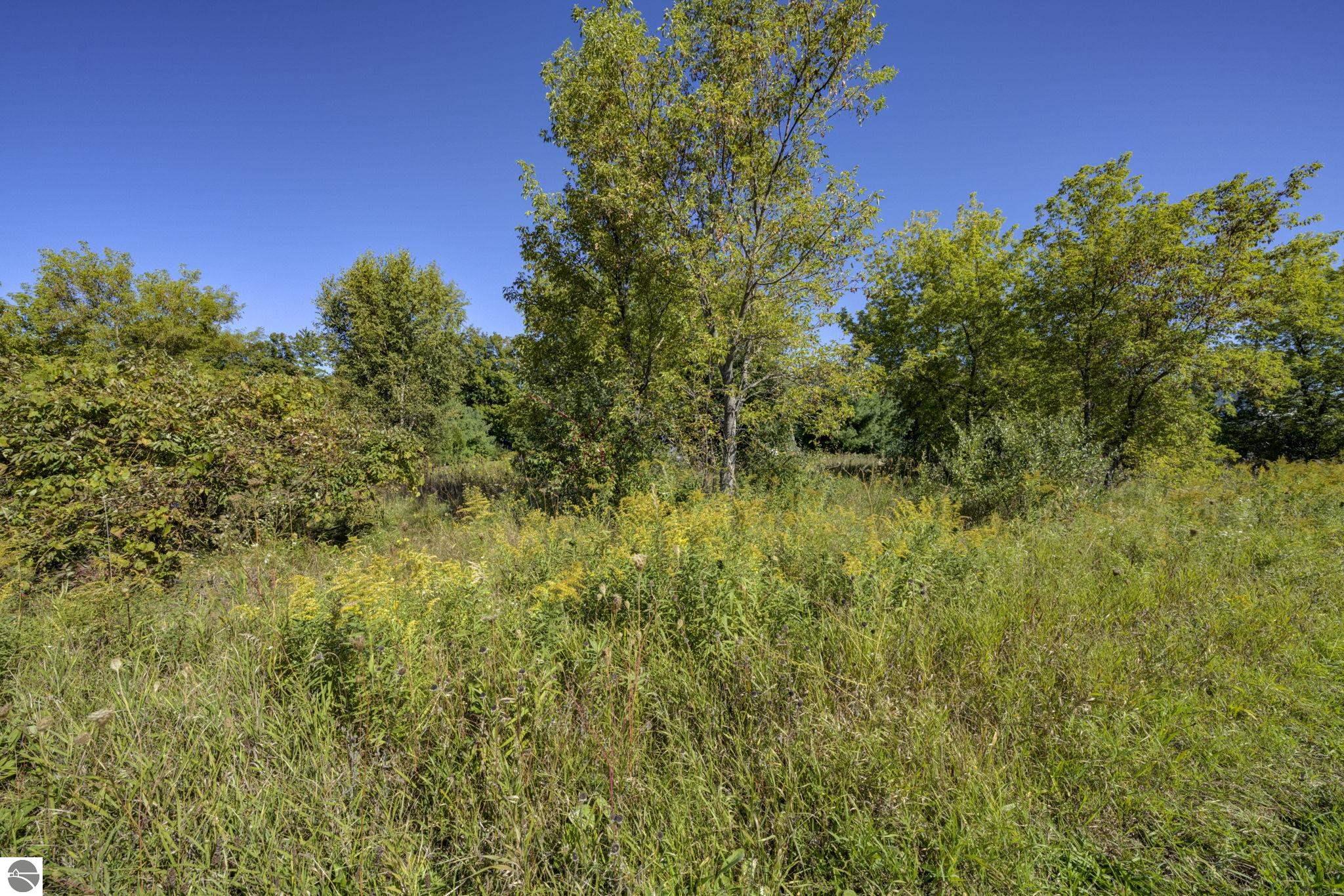 10624 + Lot 11 E Ora Lee Lane