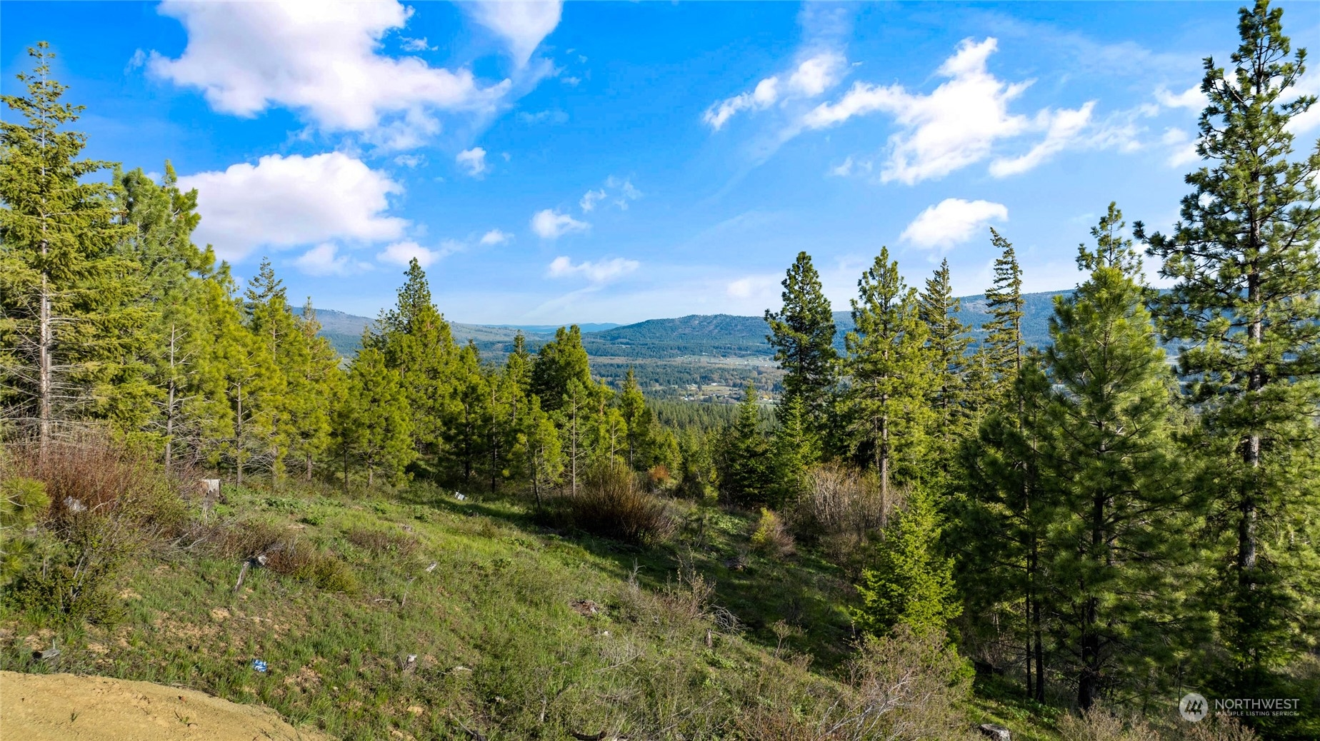 37 Forest Ridge Drive