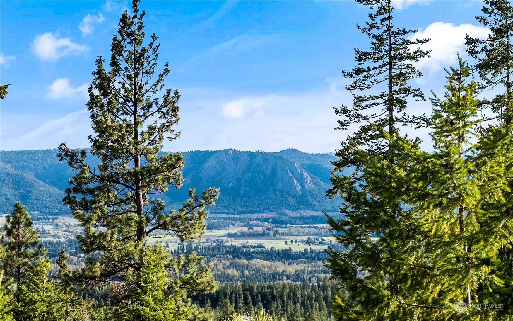 37 Forest Ridge Drive