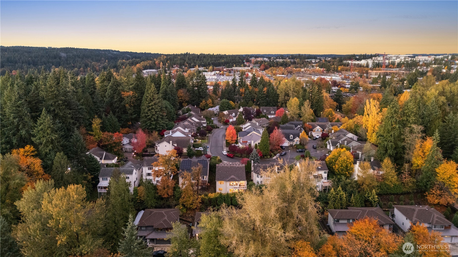 14699 NE 16th Street