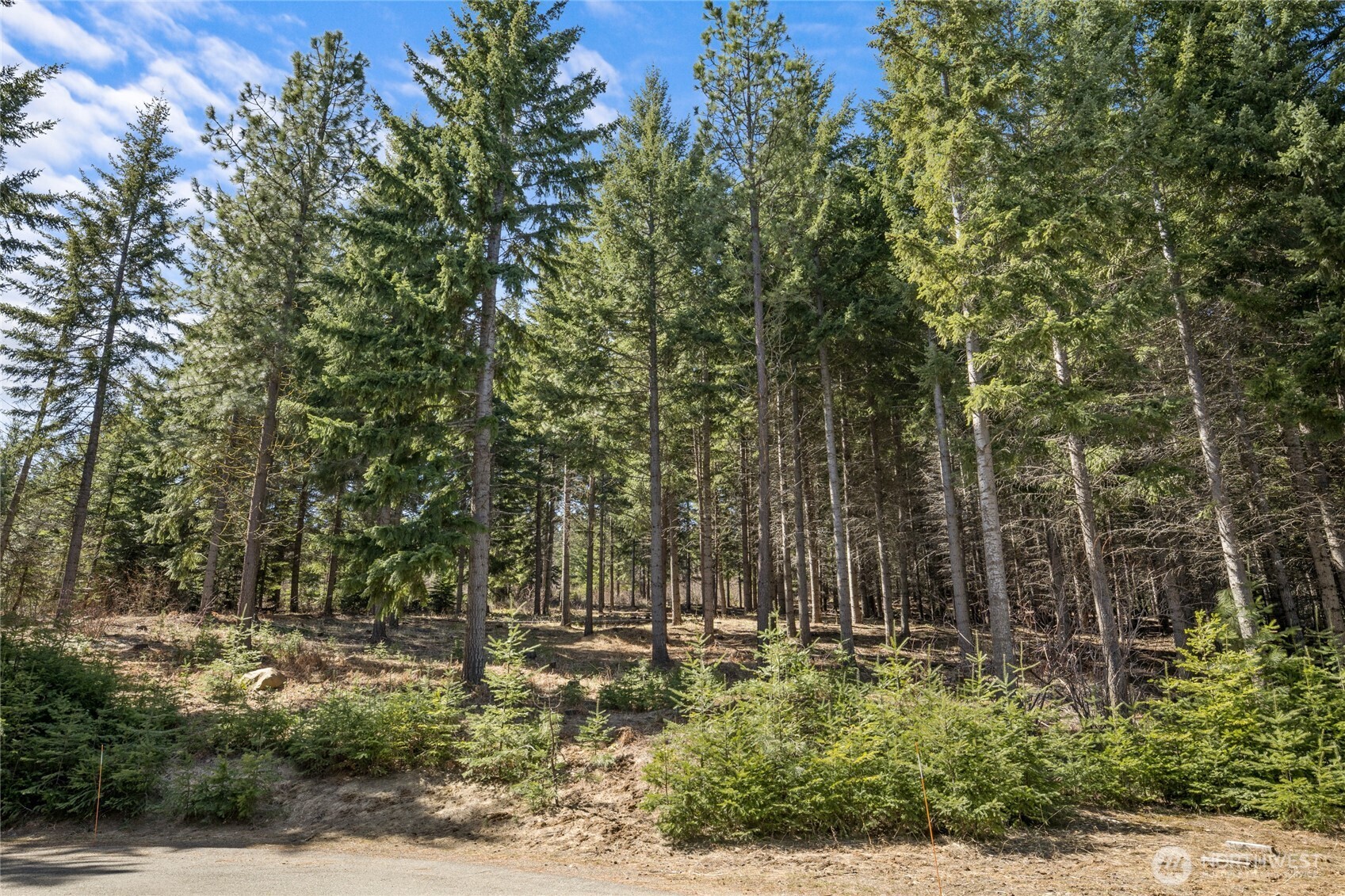 220 Tired Creek Lane