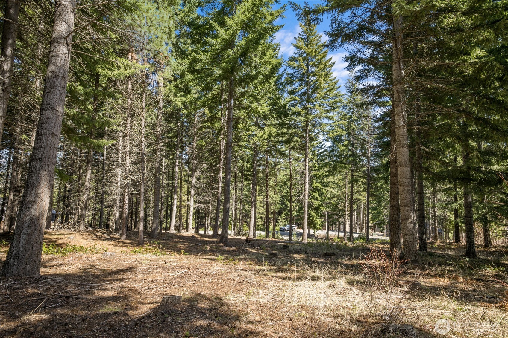 220 Tired Creek Lane