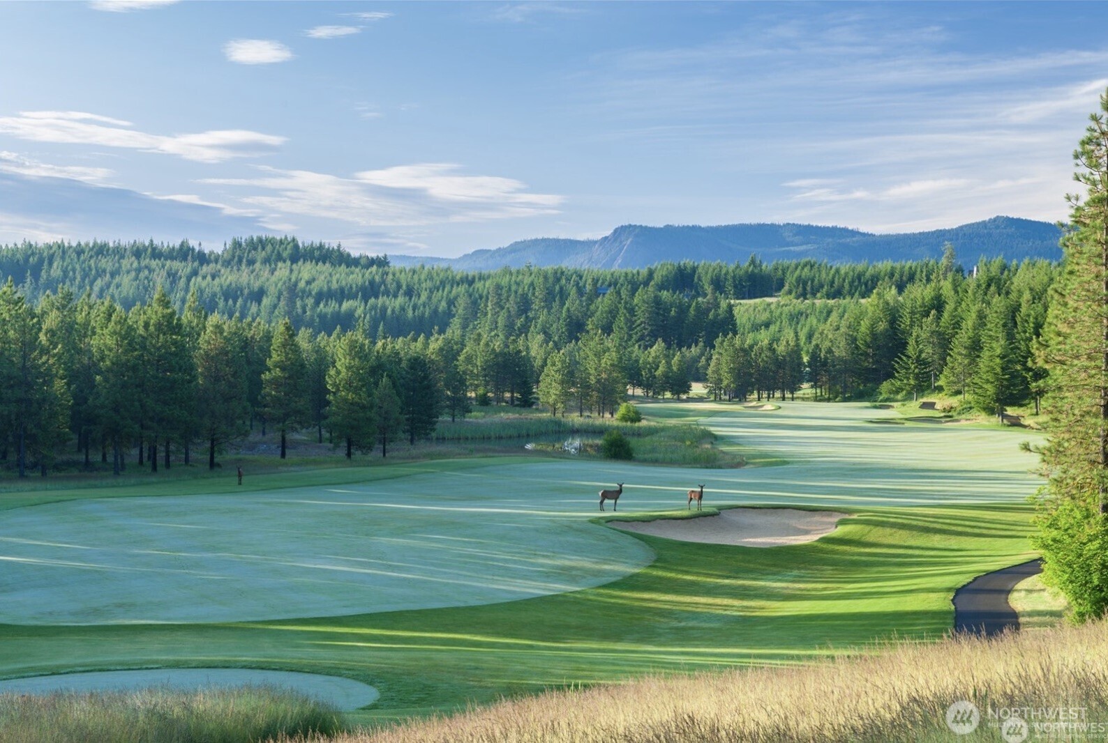 220 Tired Creek Lane