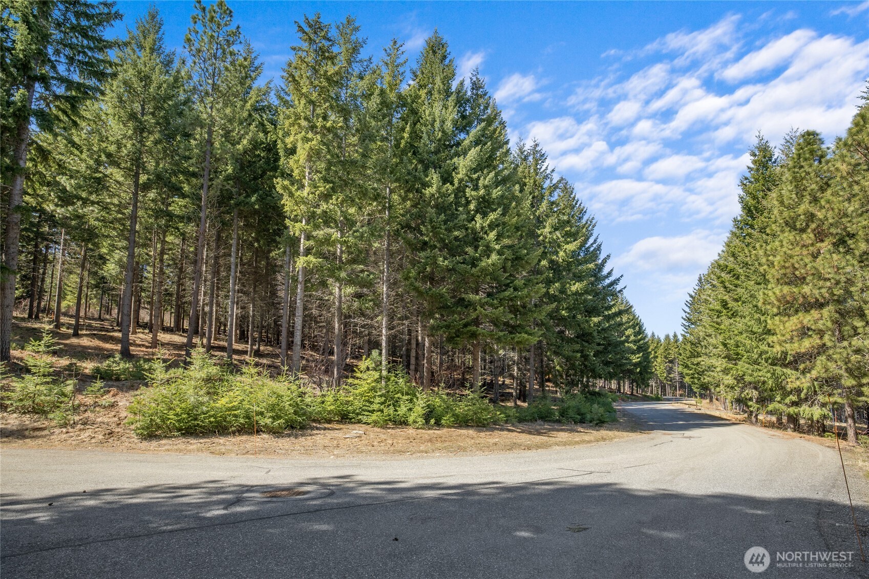 220 Tired Creek Lane