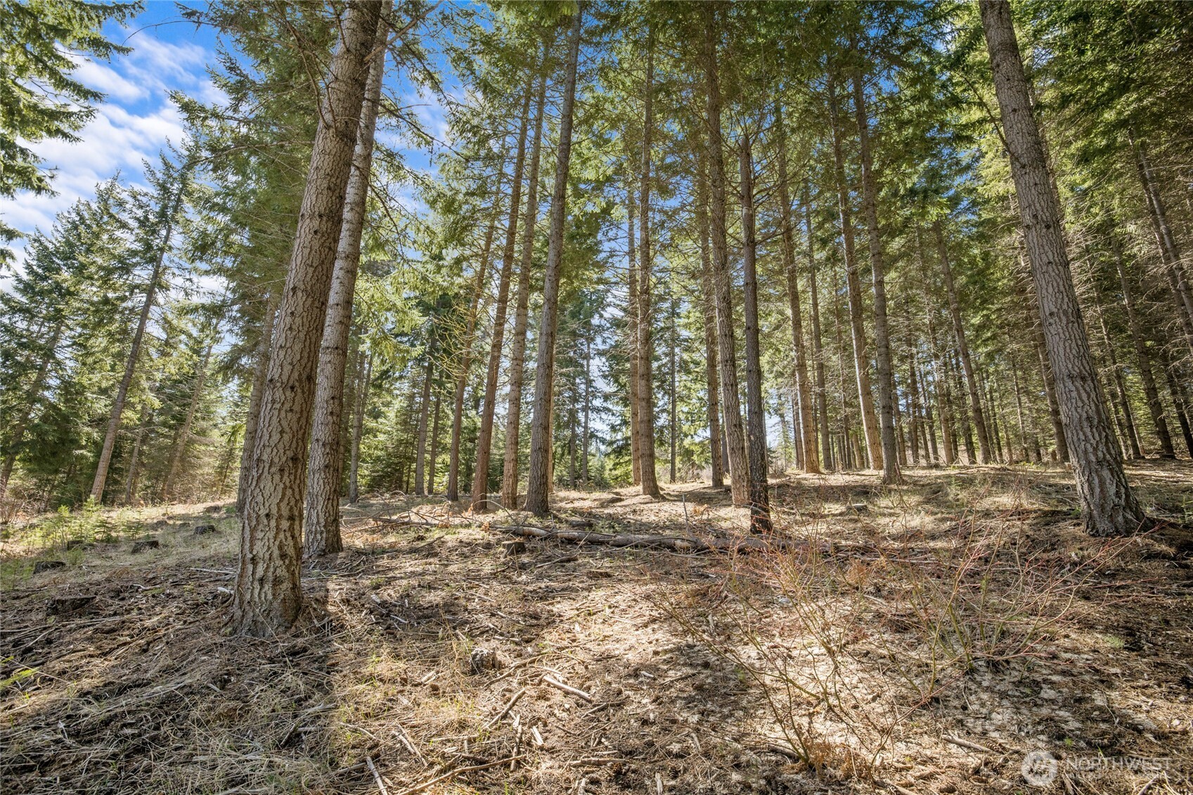 220 Tired Creek Lane