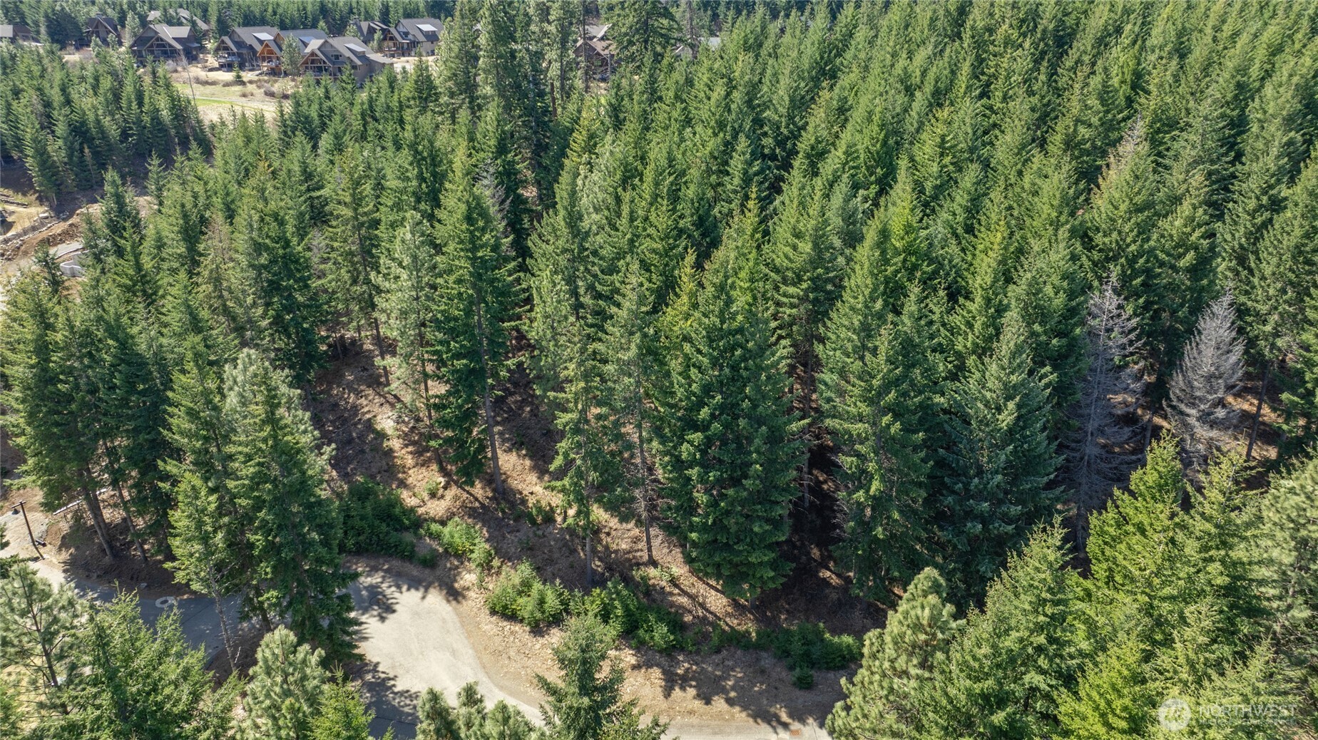 220 Tired Creek Lane