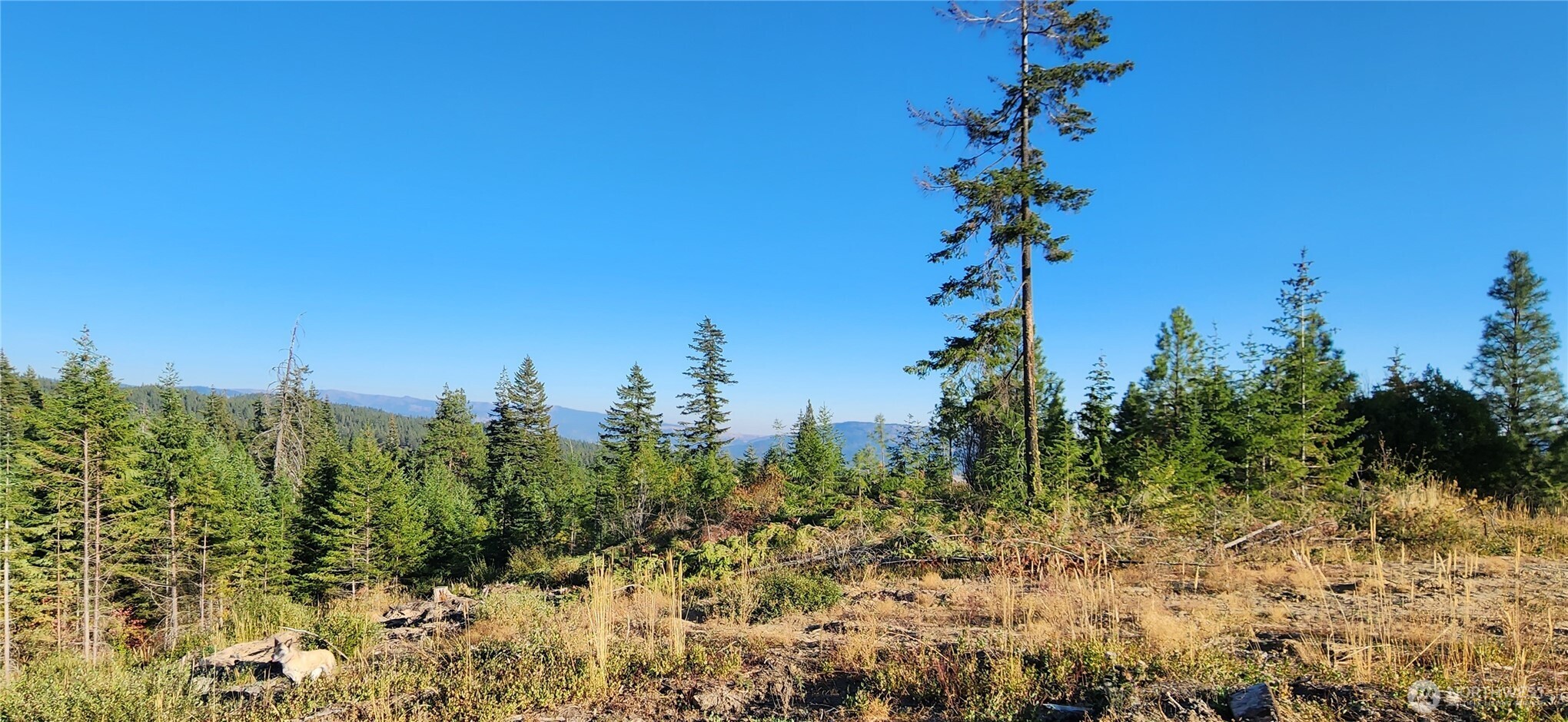 190 Skyline Ridge (Lot 55) Drive