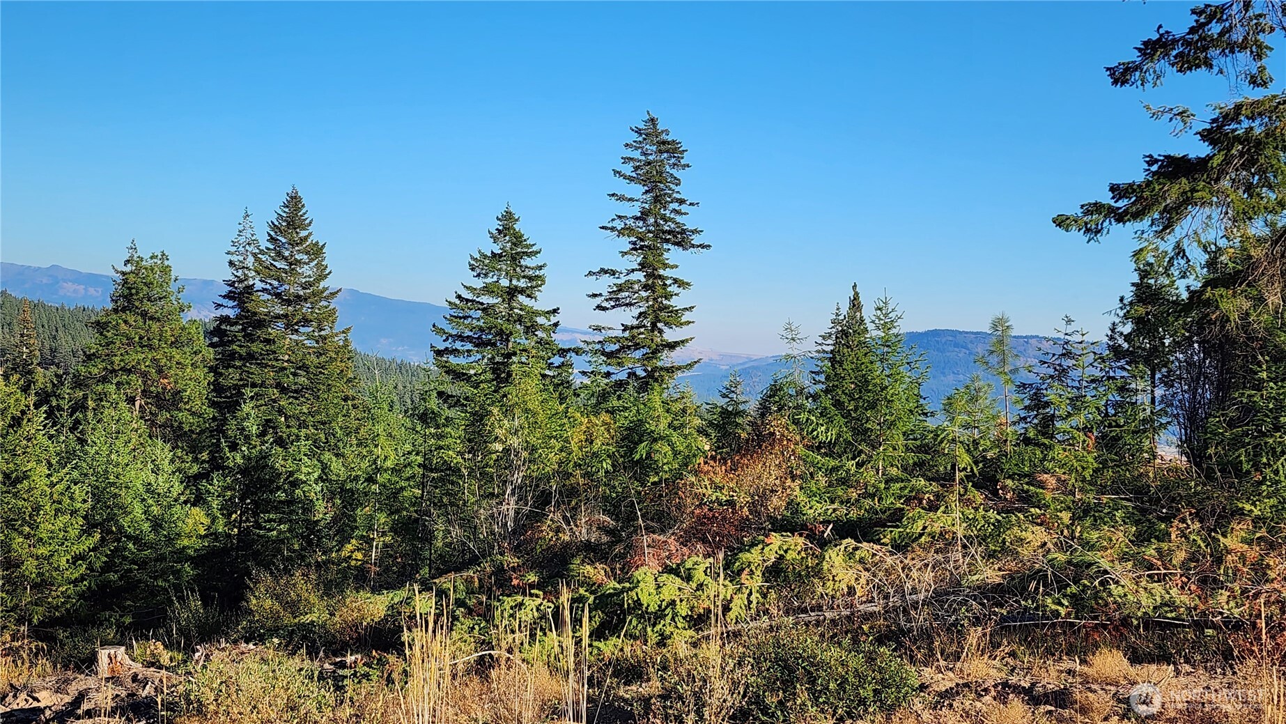 190 Skyline Ridge (Lot 55) Drive