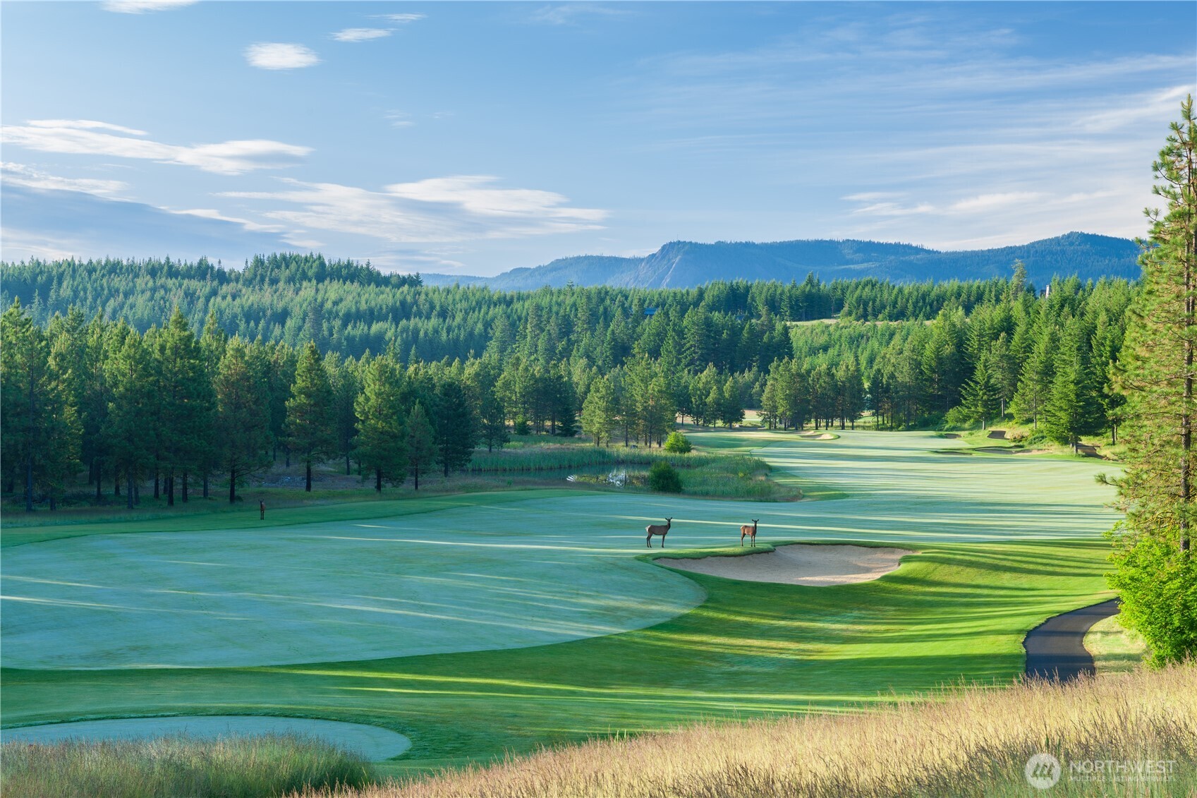 46 Southern Star Lane