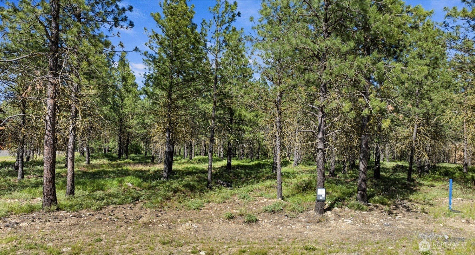 46 Southern Star Lane