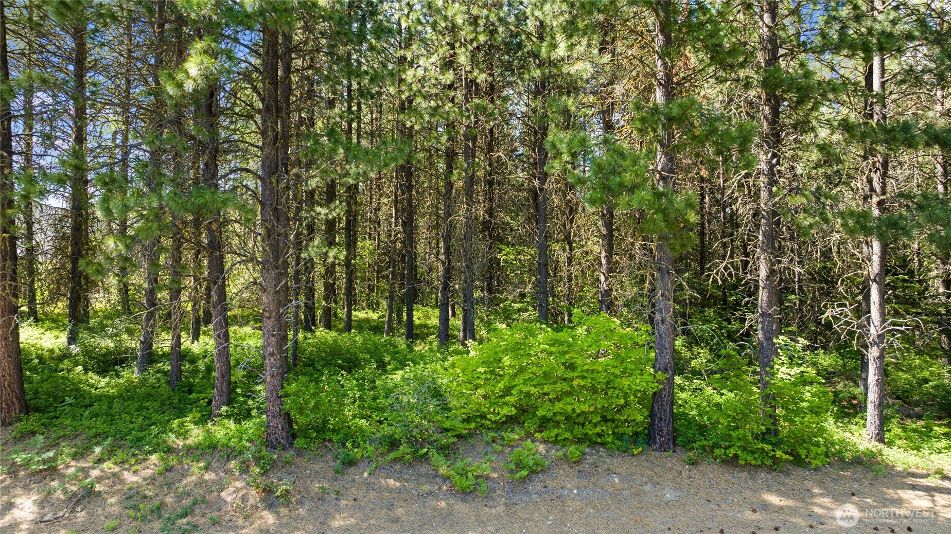 831 Iron Monarch Loop