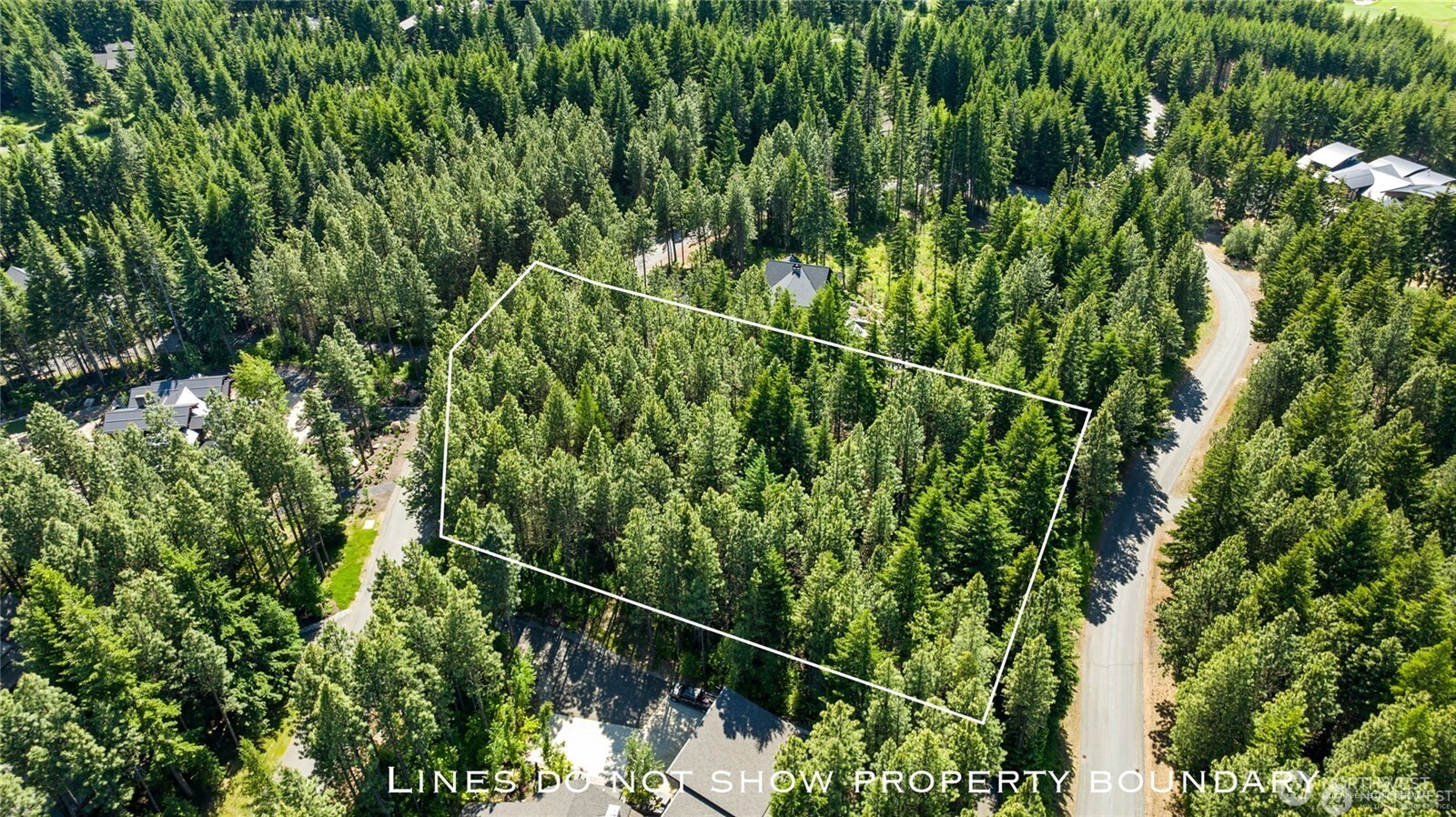 831 Iron Monarch Loop