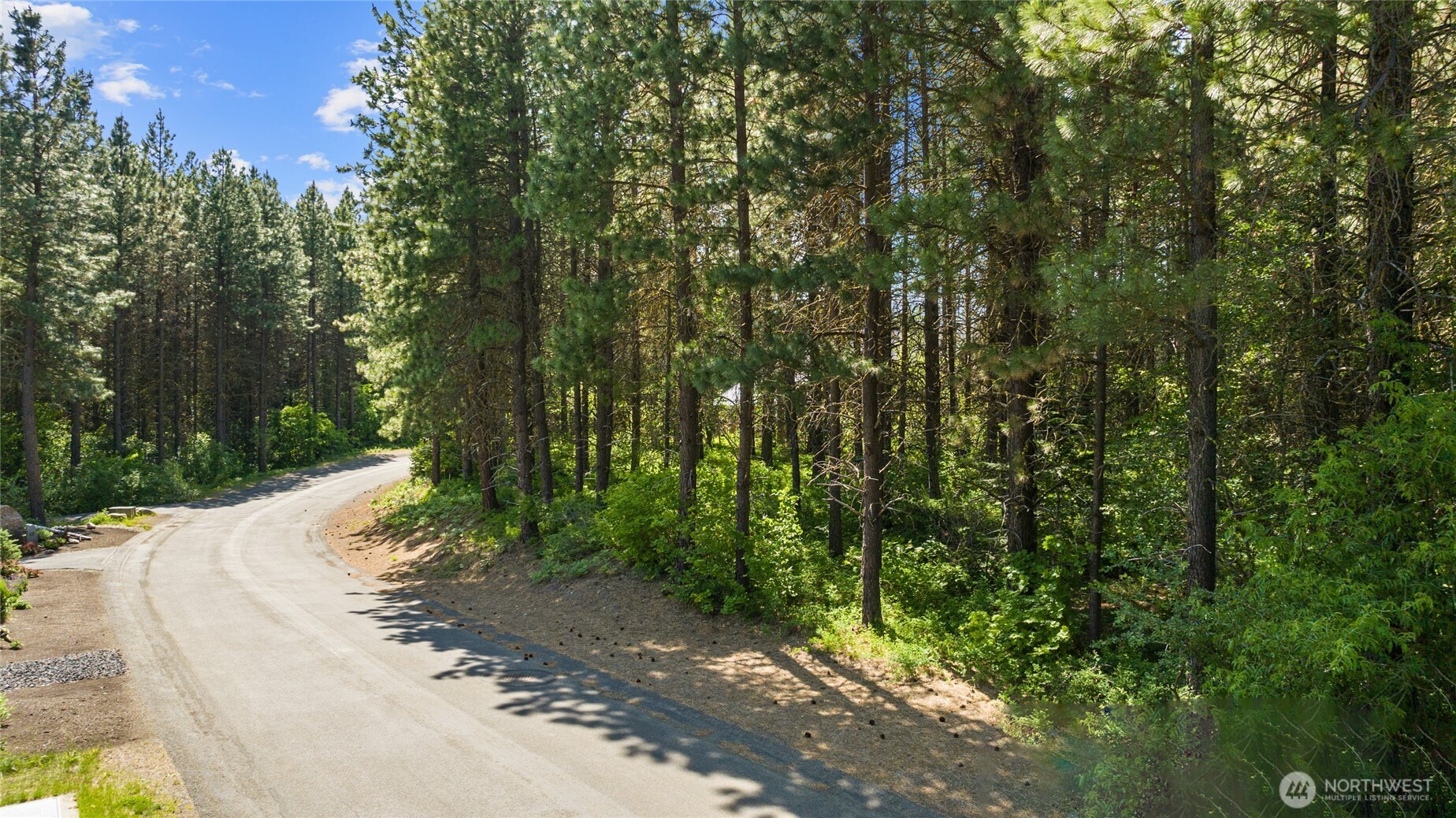 831 Iron Monarch Loop