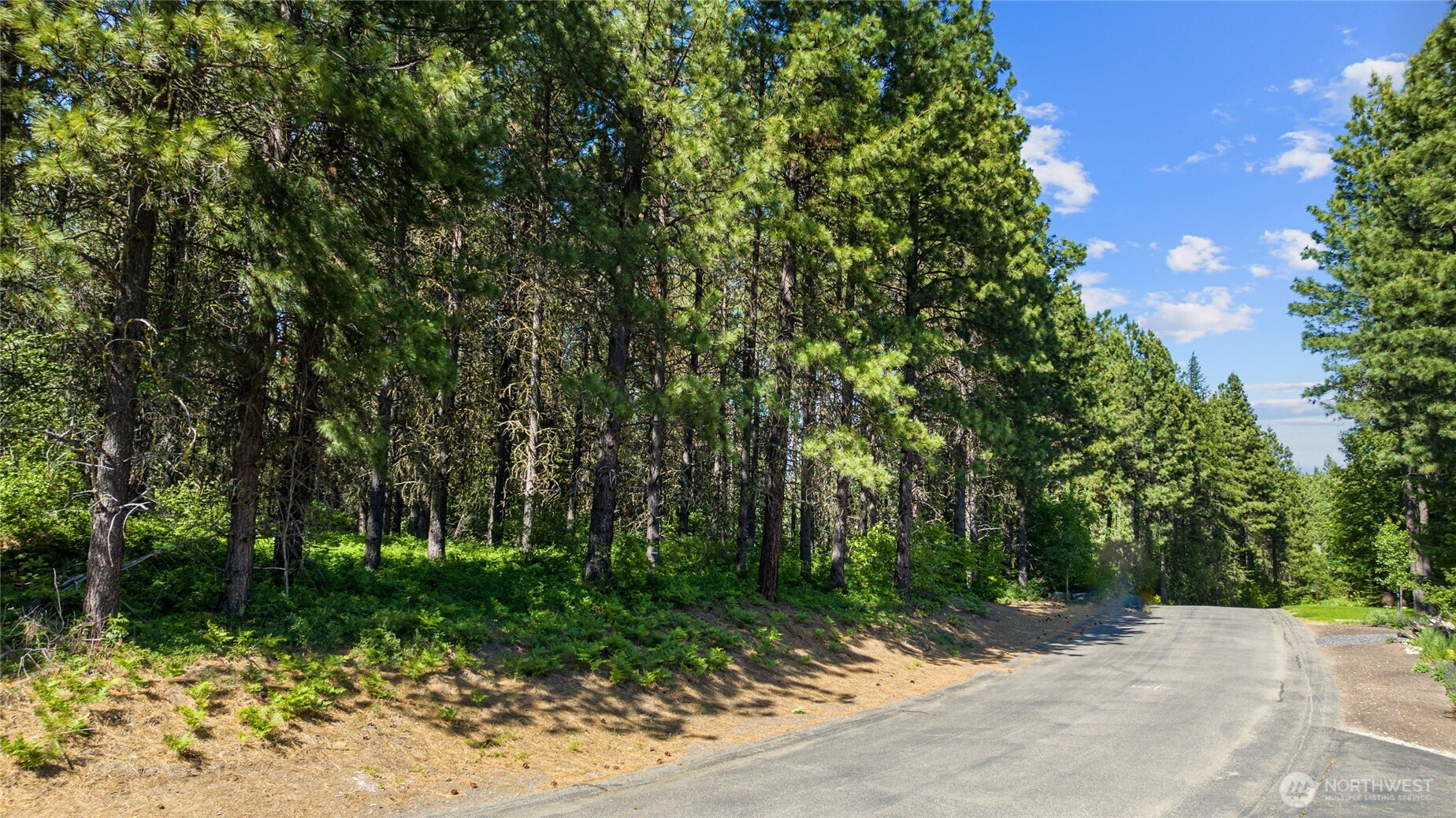 831 Iron Monarch Loop