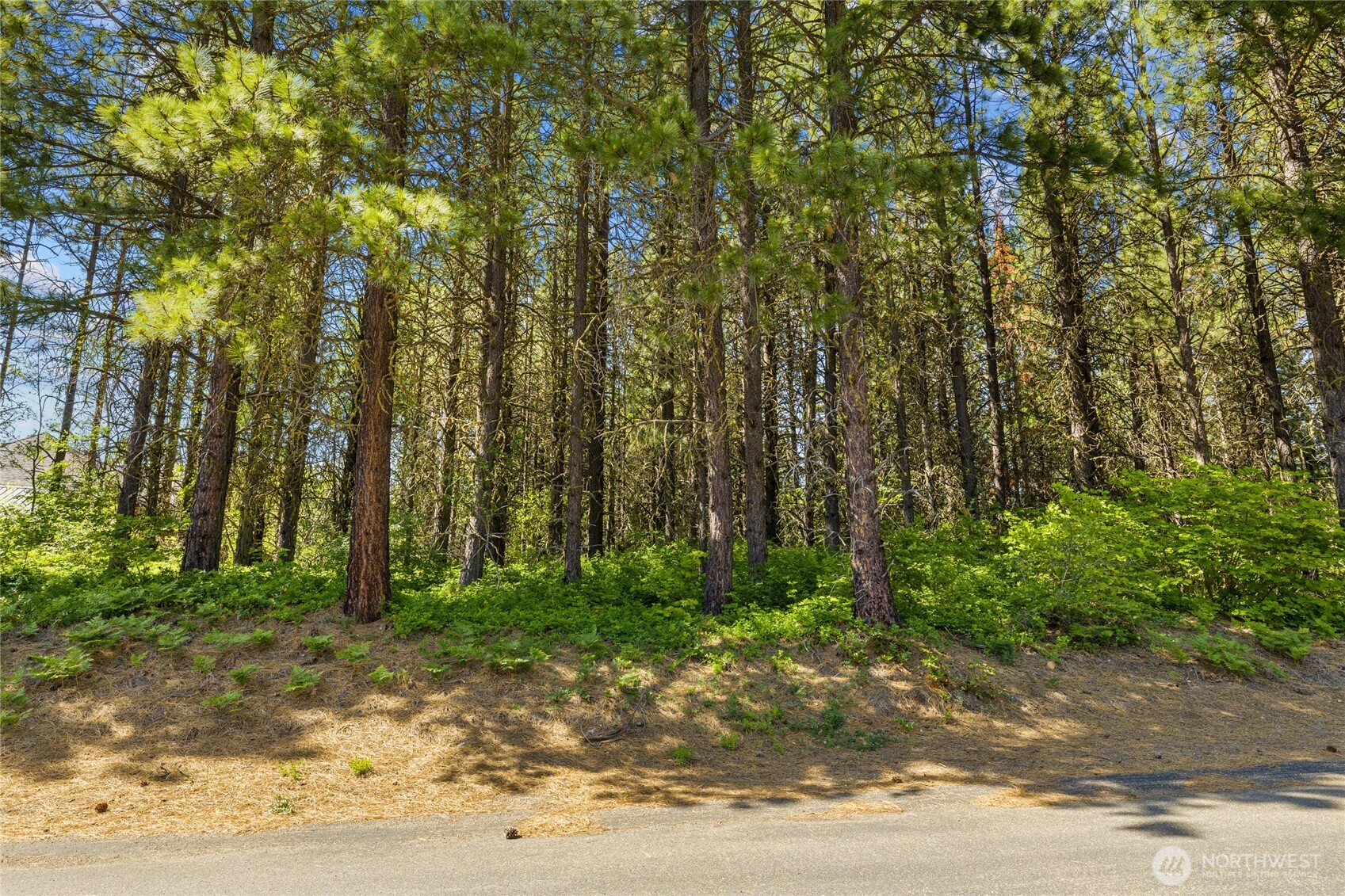 831 Iron Monarch Loop