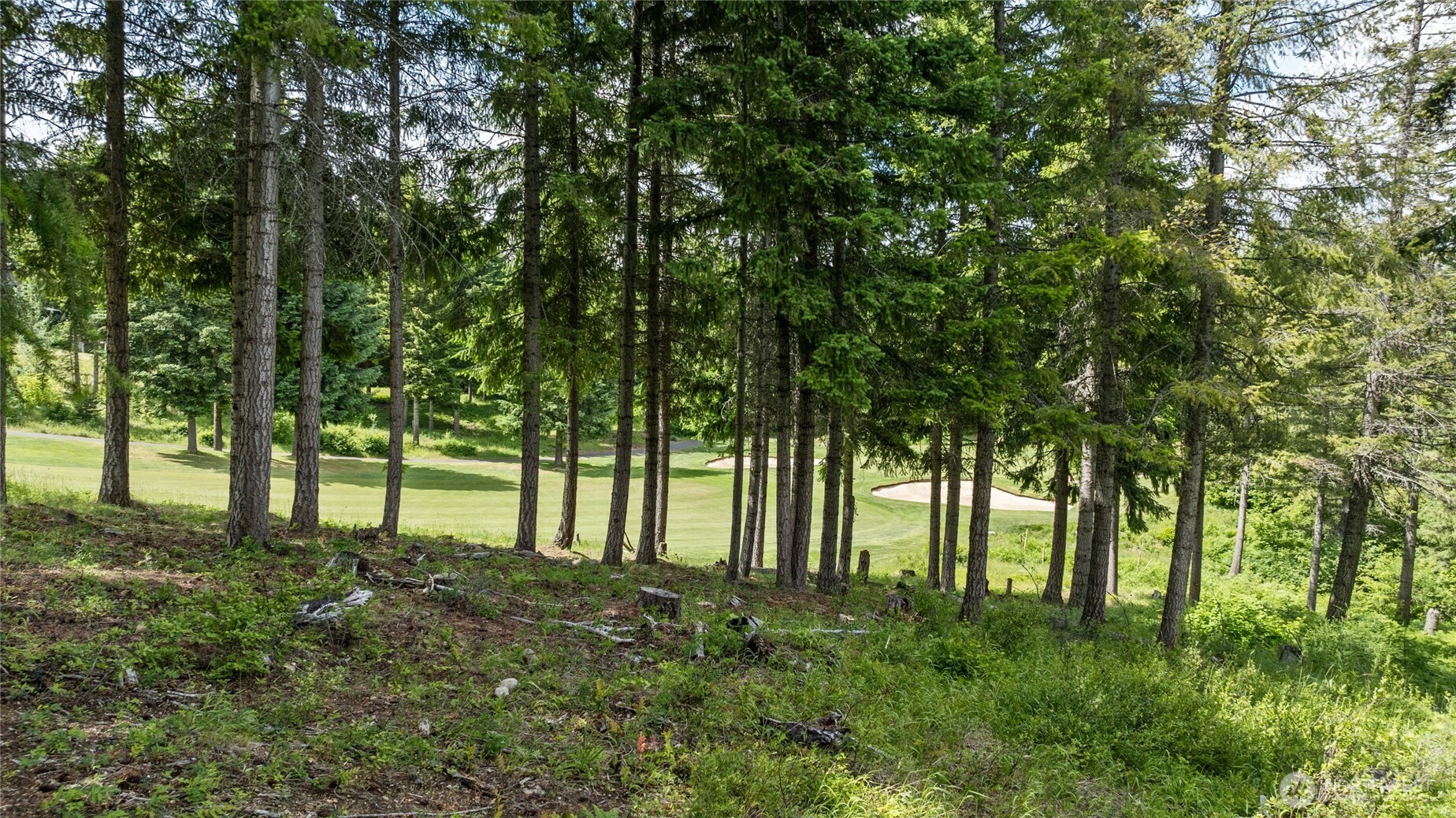 351 Quick Creek Lane