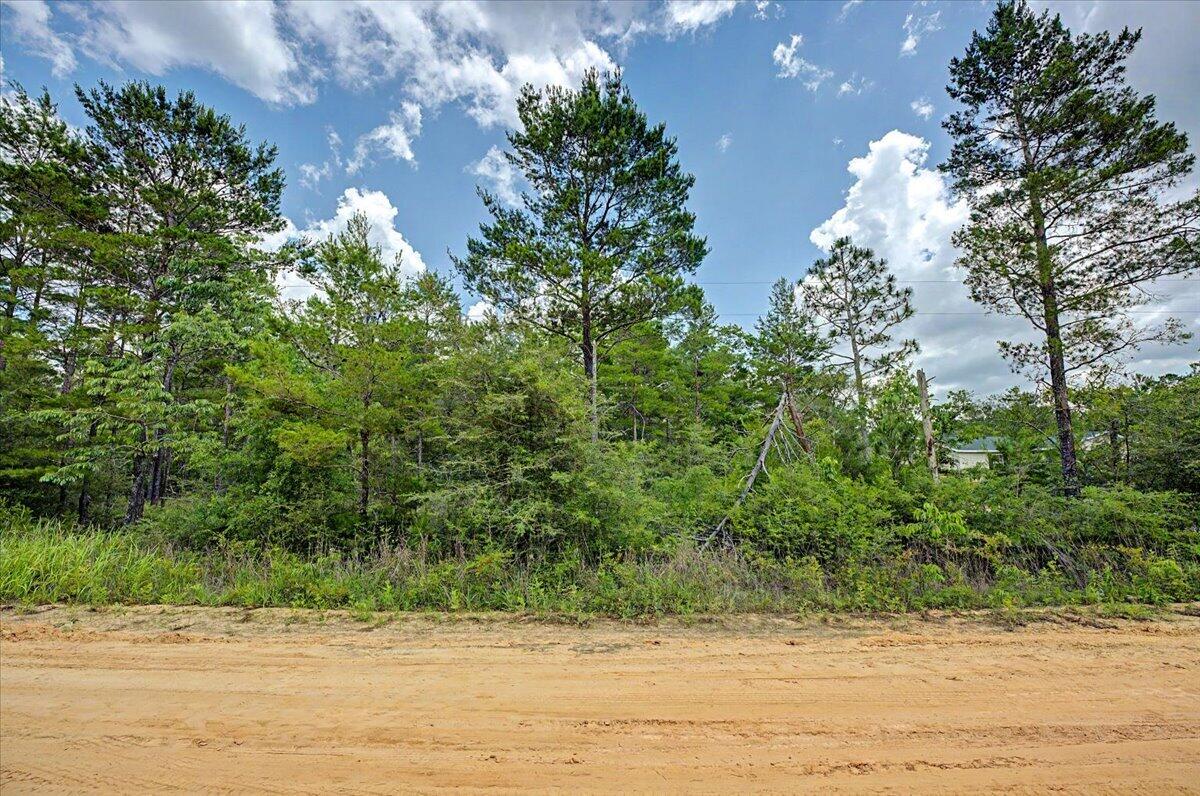 TBD Hamlet Drive, DeFuniak Springs