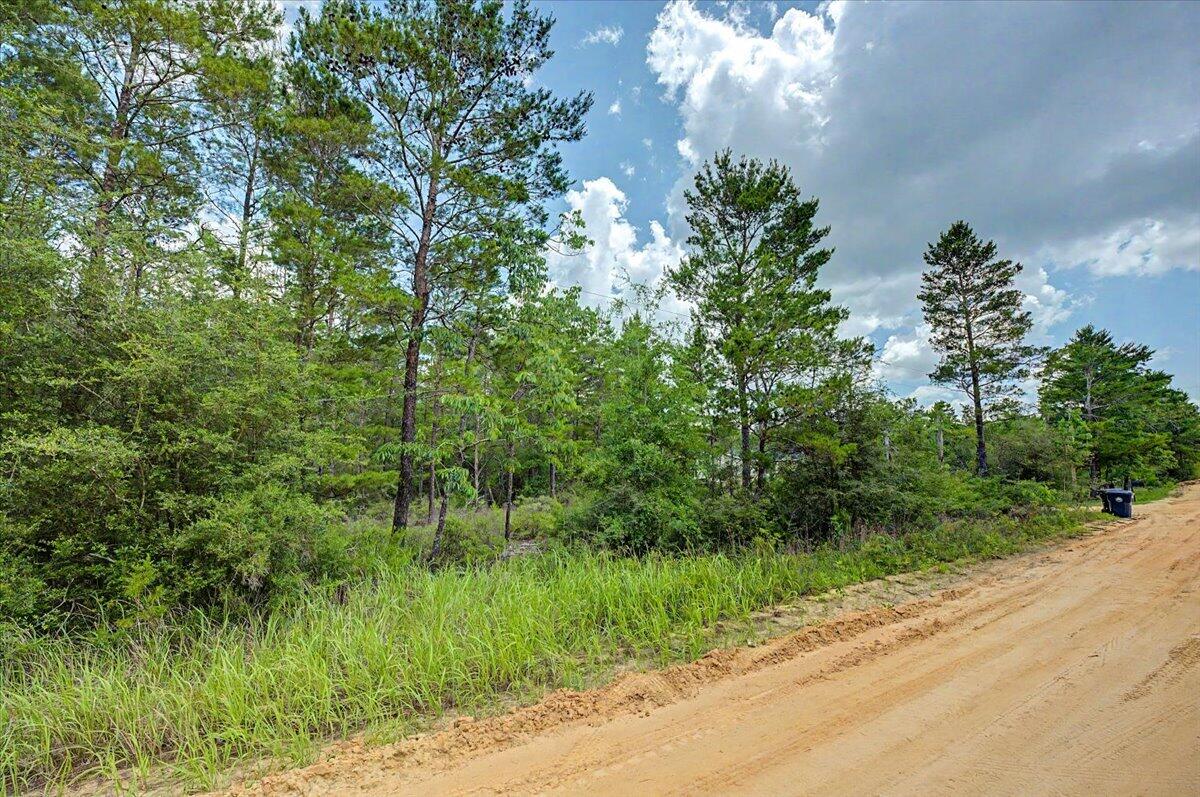 TBD Hamlet Drive, DeFuniak Springs