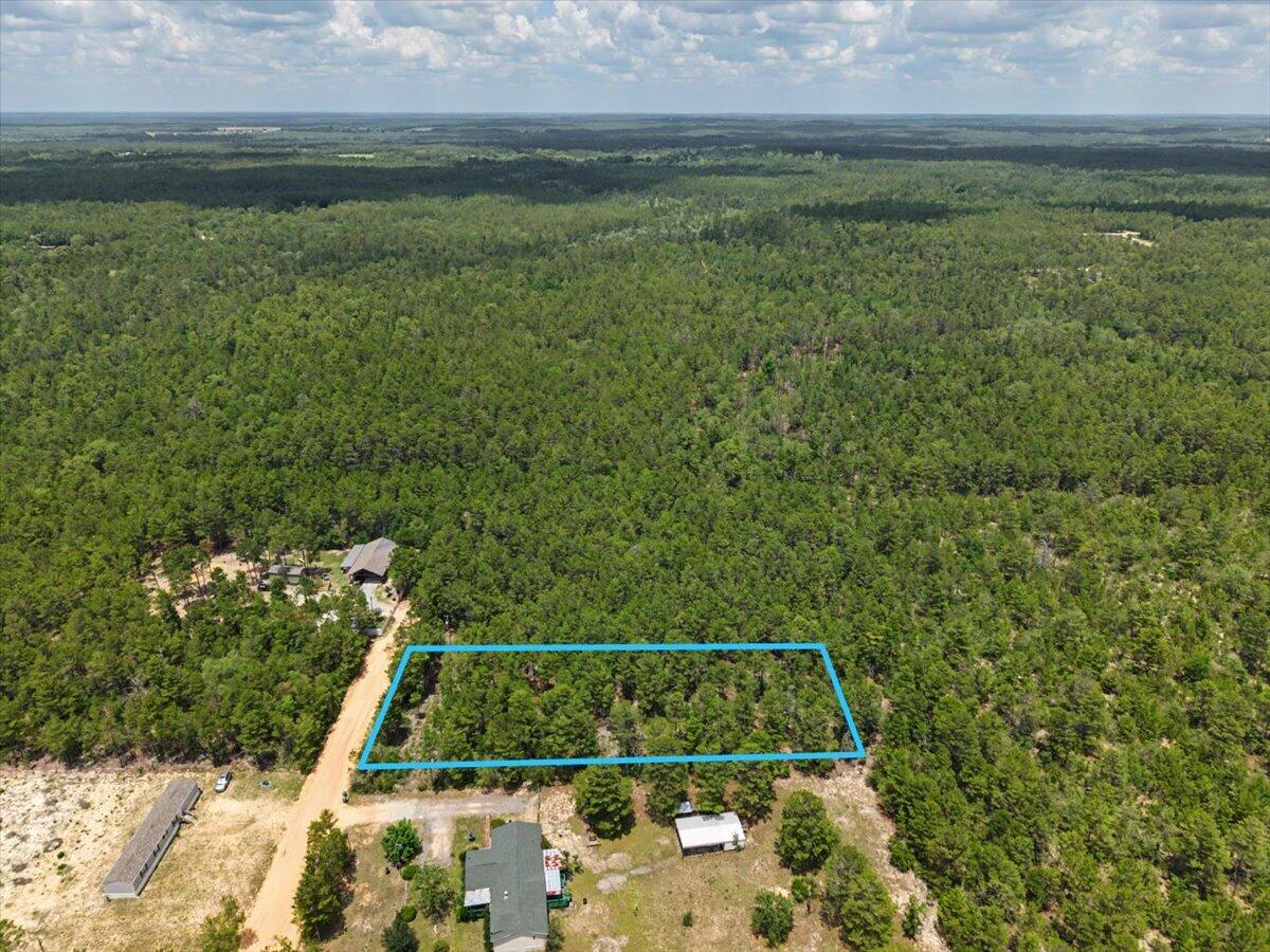 TBD Hamlet Drive, DeFuniak Springs