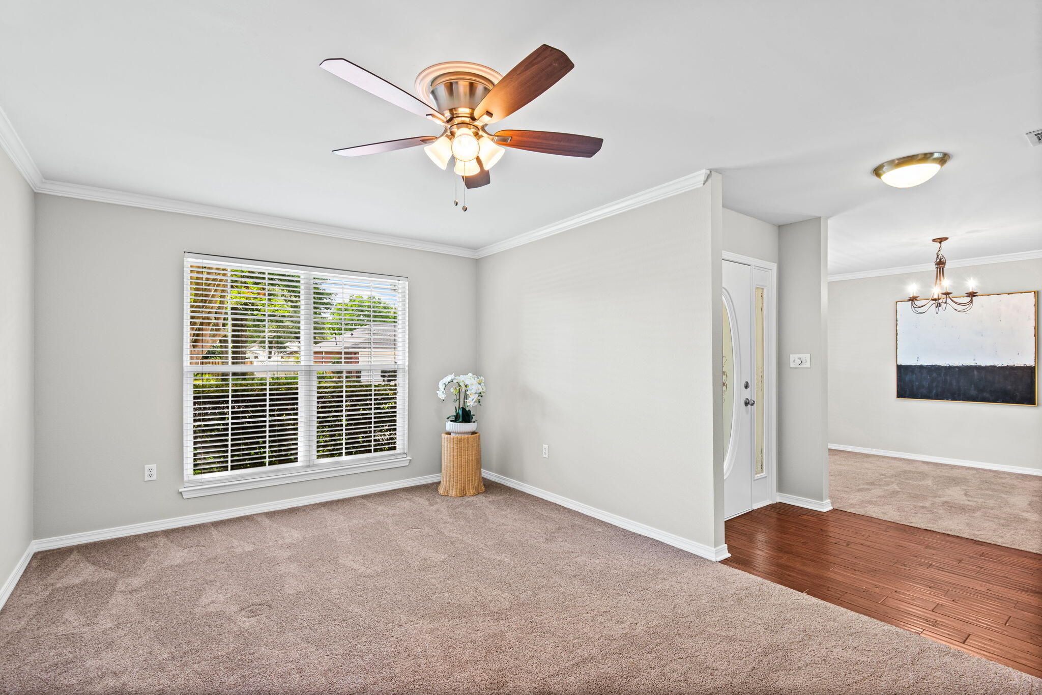 1434 William Faulkner Drive