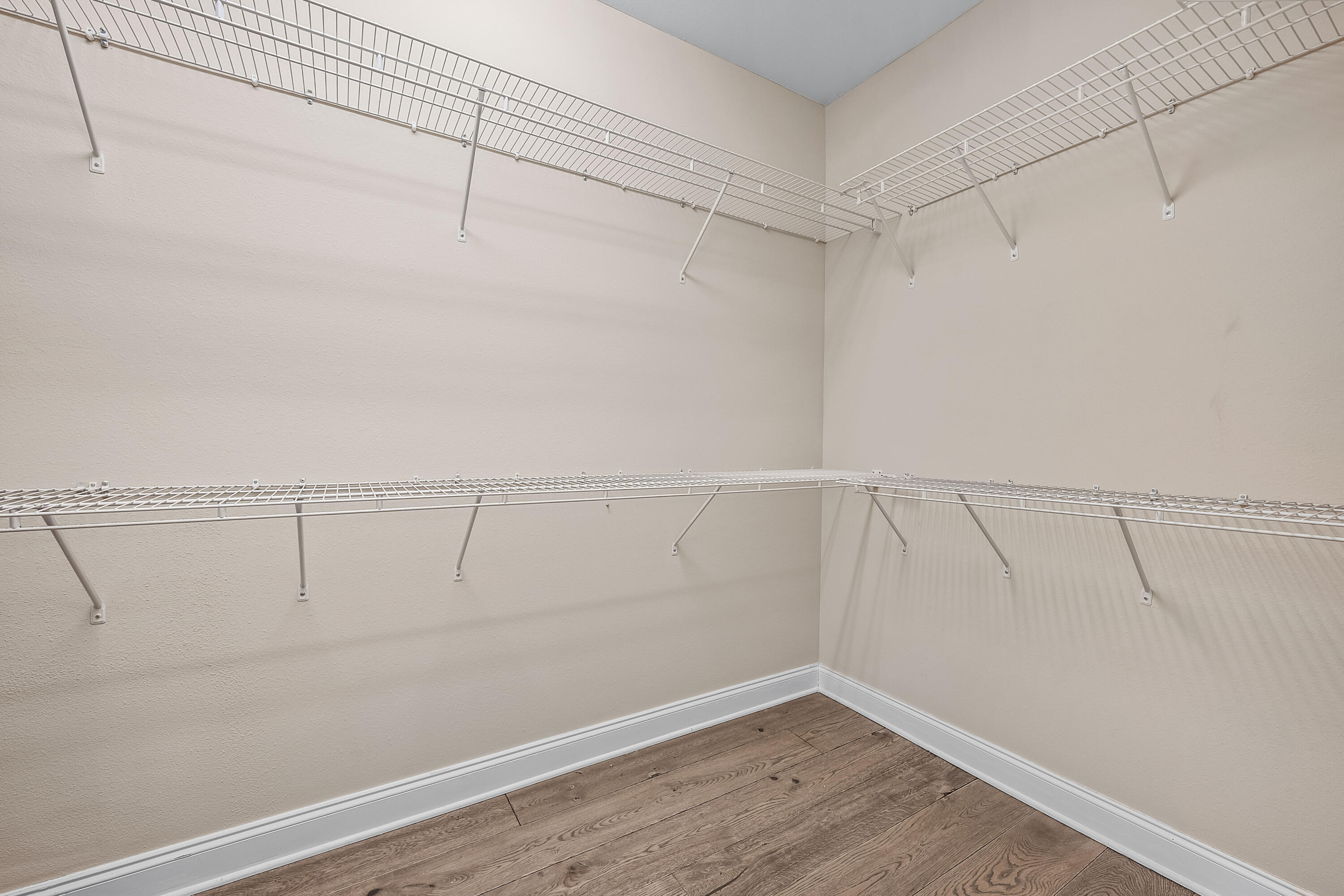 402 Spicebush Court