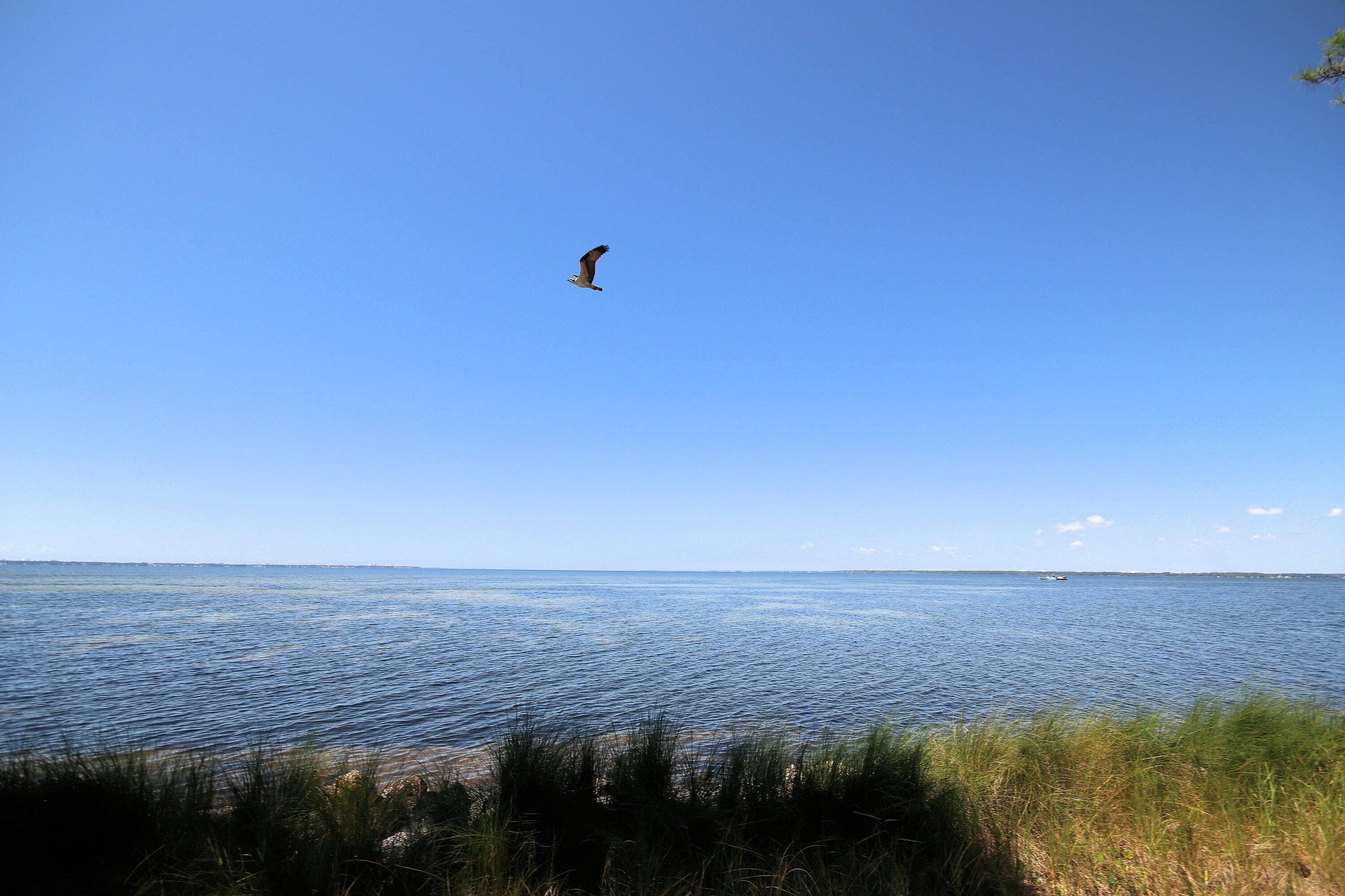 4419 Southminster Circle, Niceville